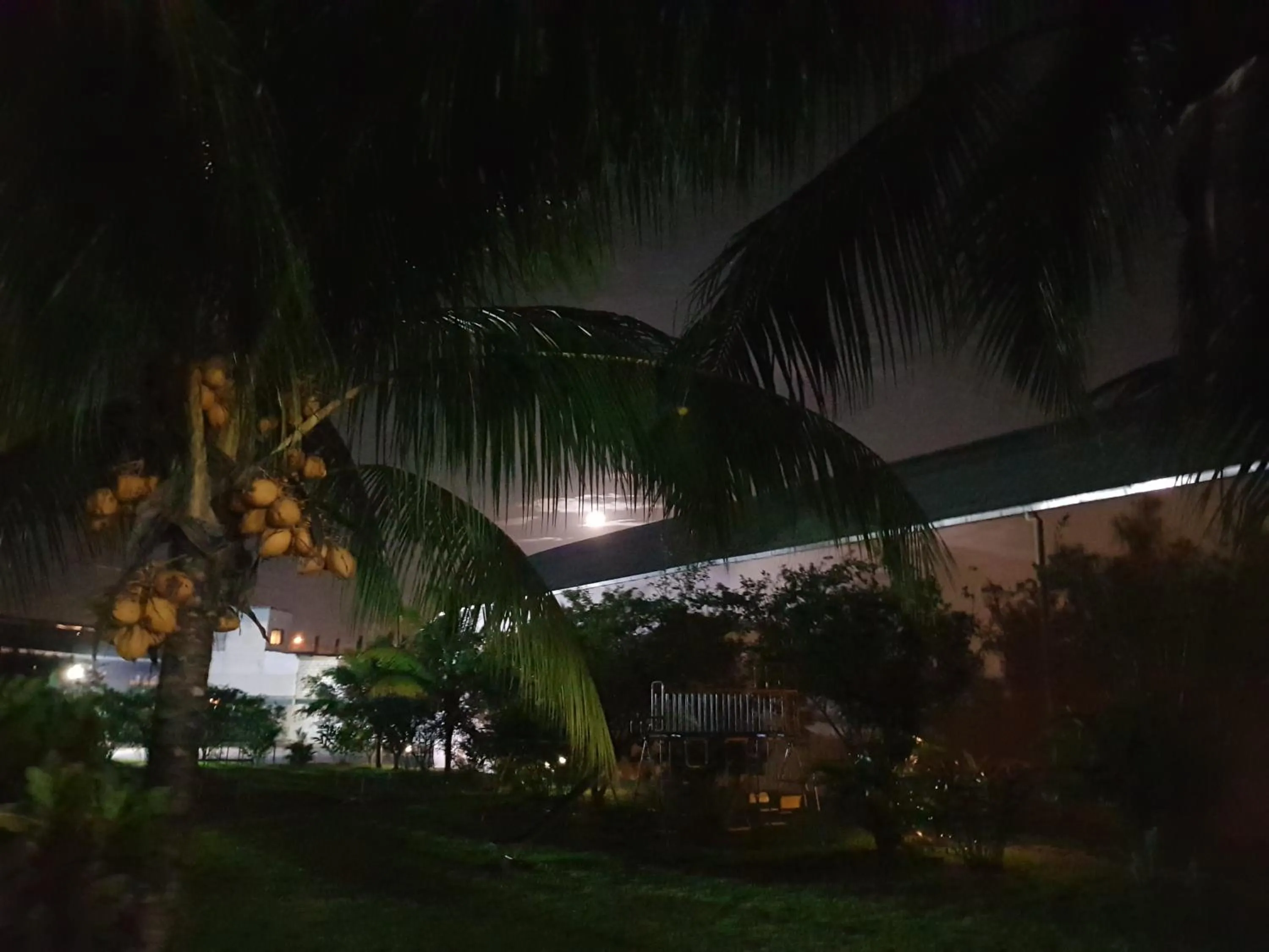 Garden in Gran Hotel De Lago - Lago Agrio