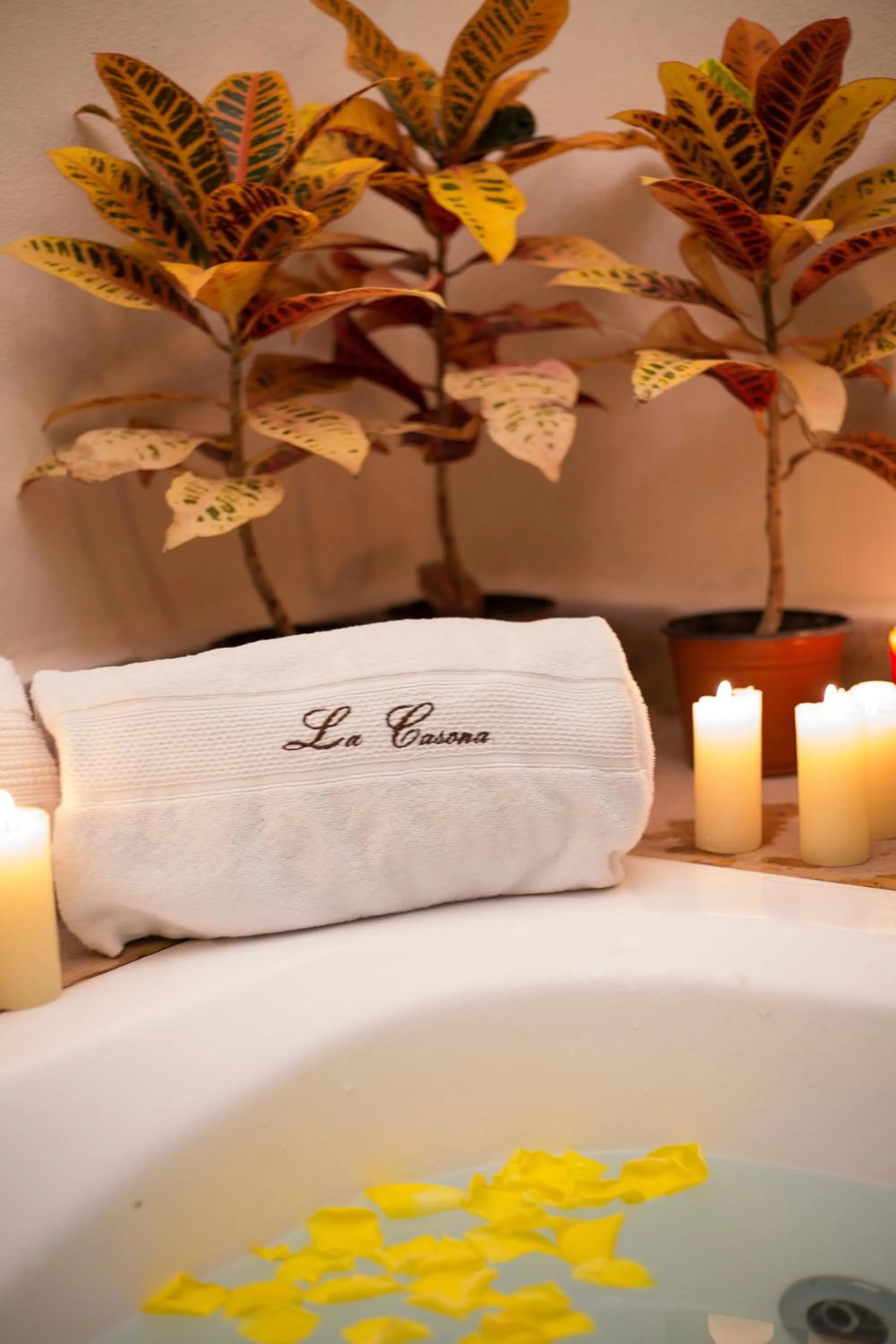 Spa and wellness centre/facilities in La Casona Minera