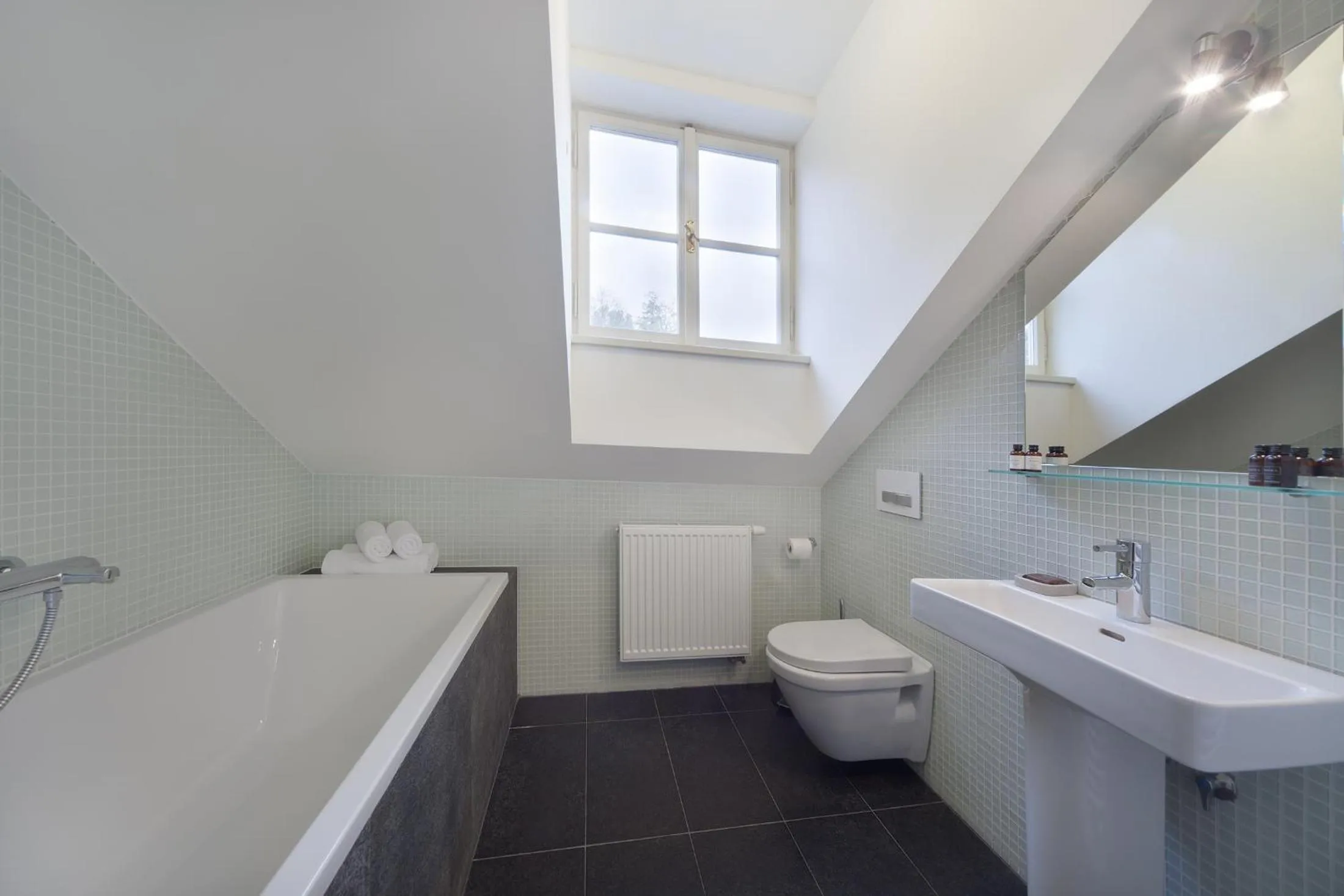 Toilet in Hotel Panství Dlouhá Lhota