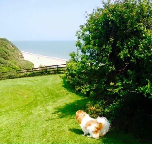 Natural landscape in Woodleigh Lodge