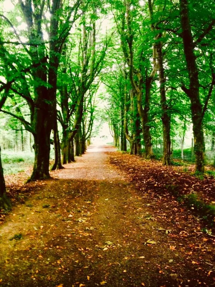 Natural landscape in Woodleigh Lodge