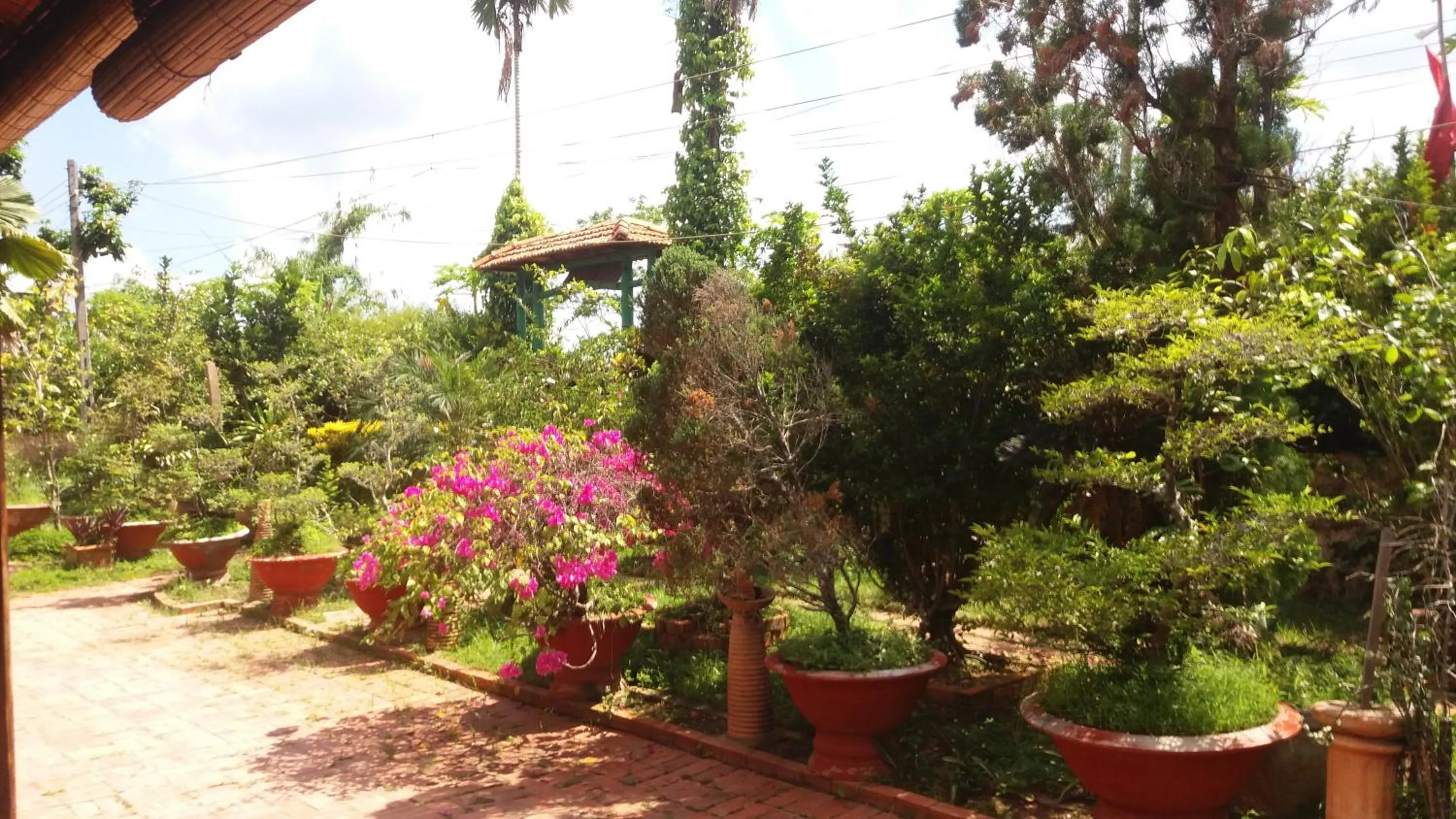 Property building in Ba Linh Homestay