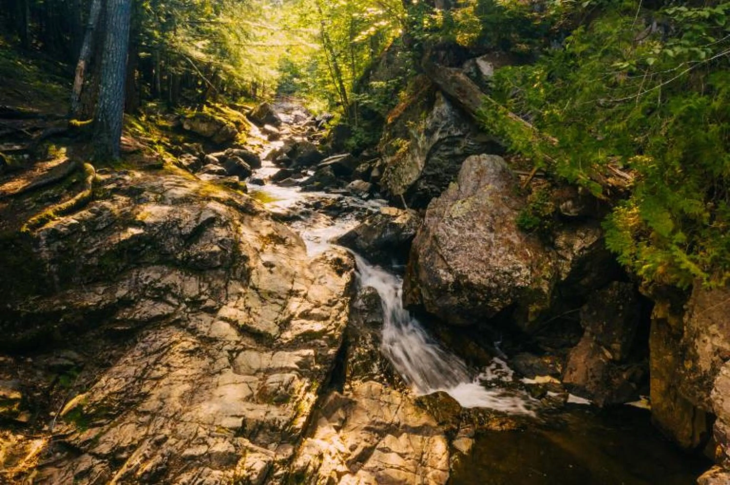 Nearby landmark in Staybridge Suites Marquette by IHG