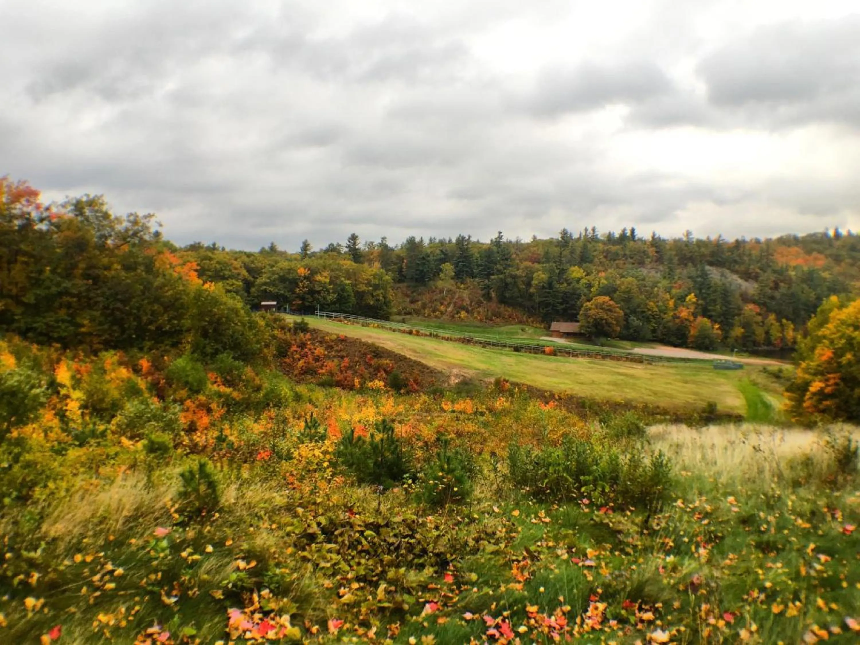 Nearby landmark in Staybridge Suites Marquette by IHG