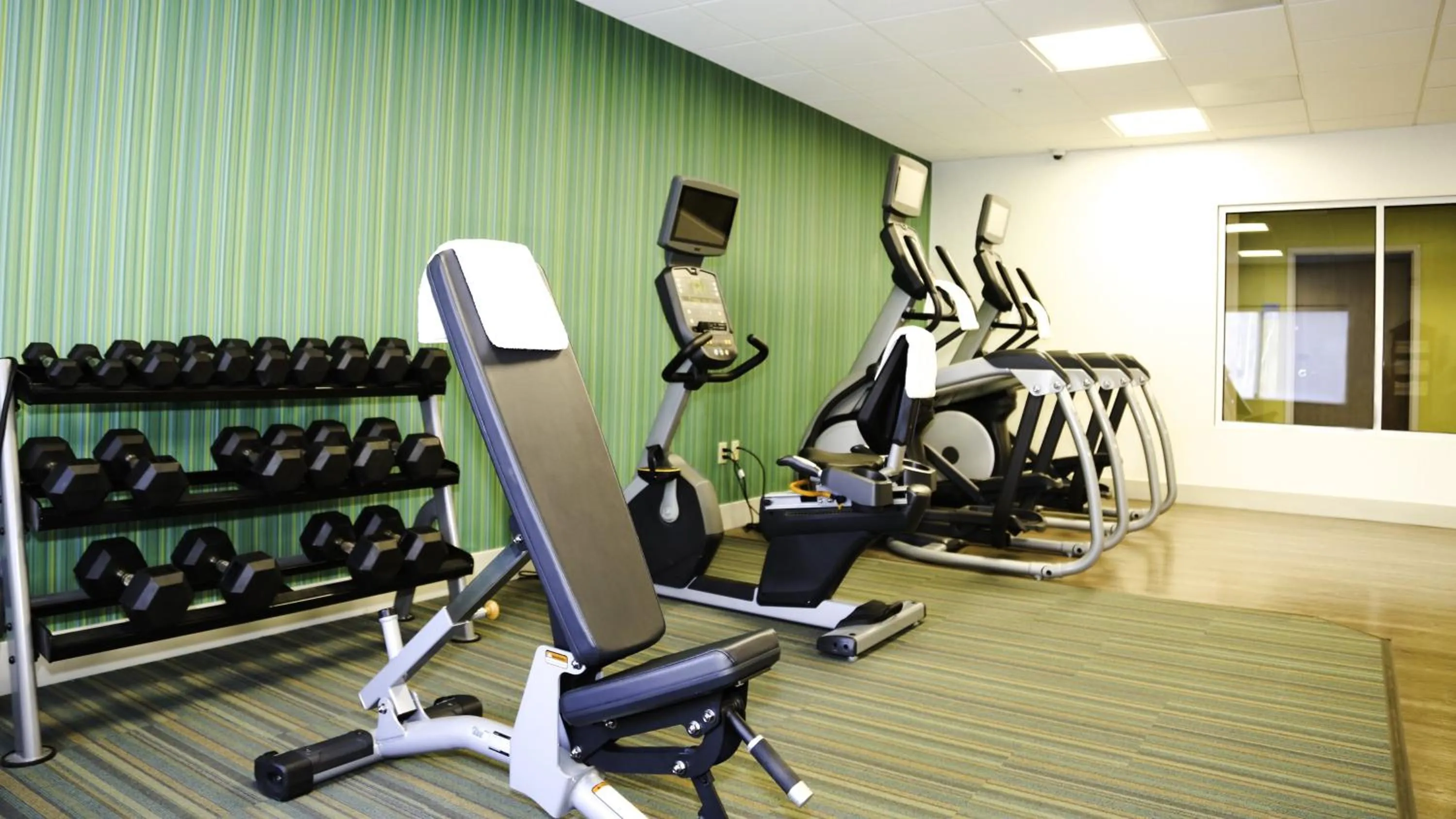 Fitness centre/facilities in Holiday Inn Express & Suites Kingston-Ulster by IHG