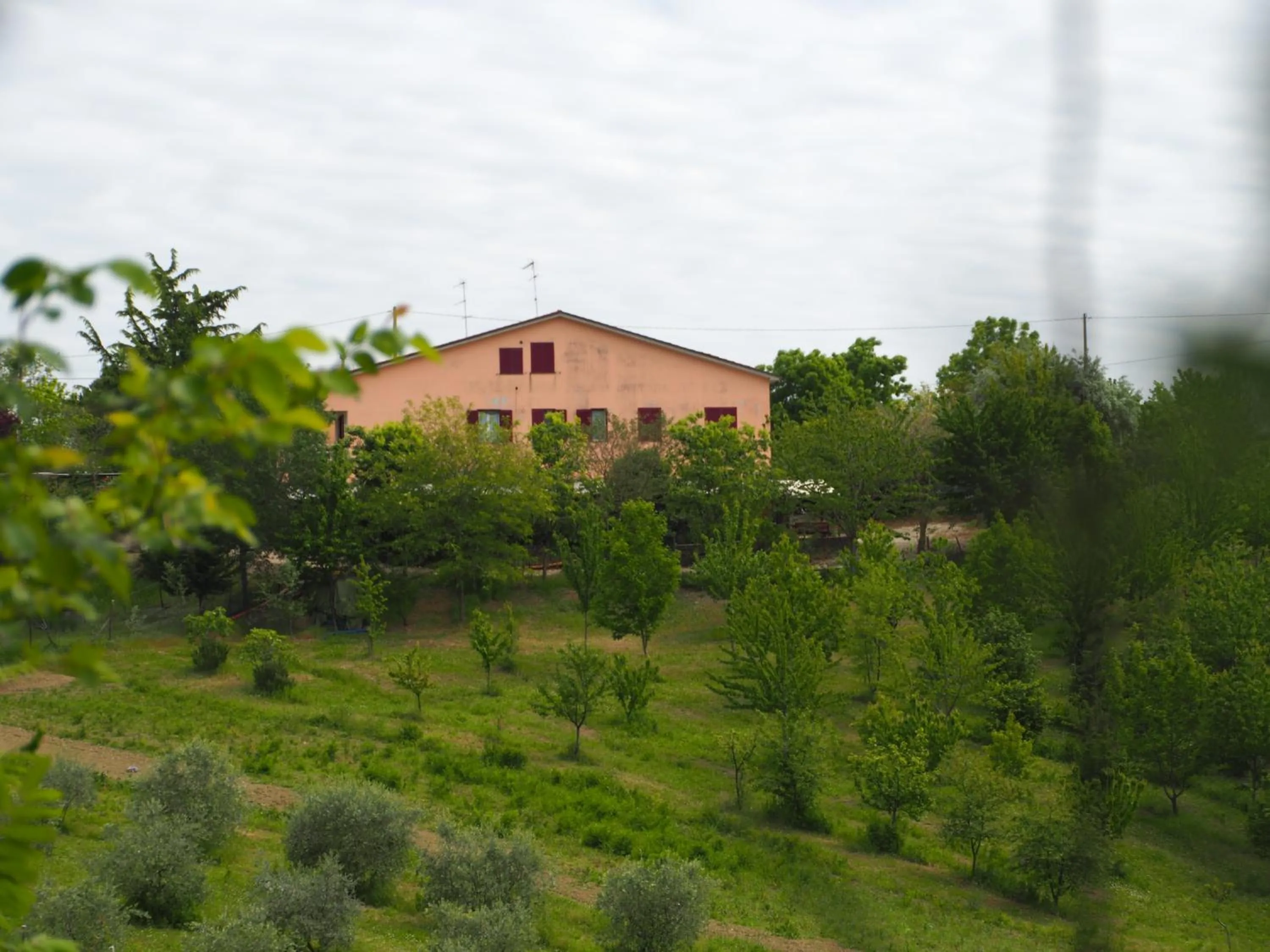 Garden in Il Rifugio dell'Ape Agriturismo