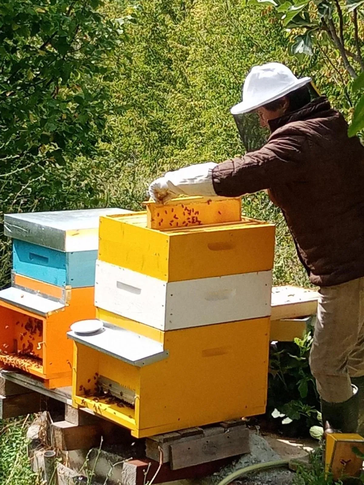 People in Il Rifugio dell'Ape Agriturismo