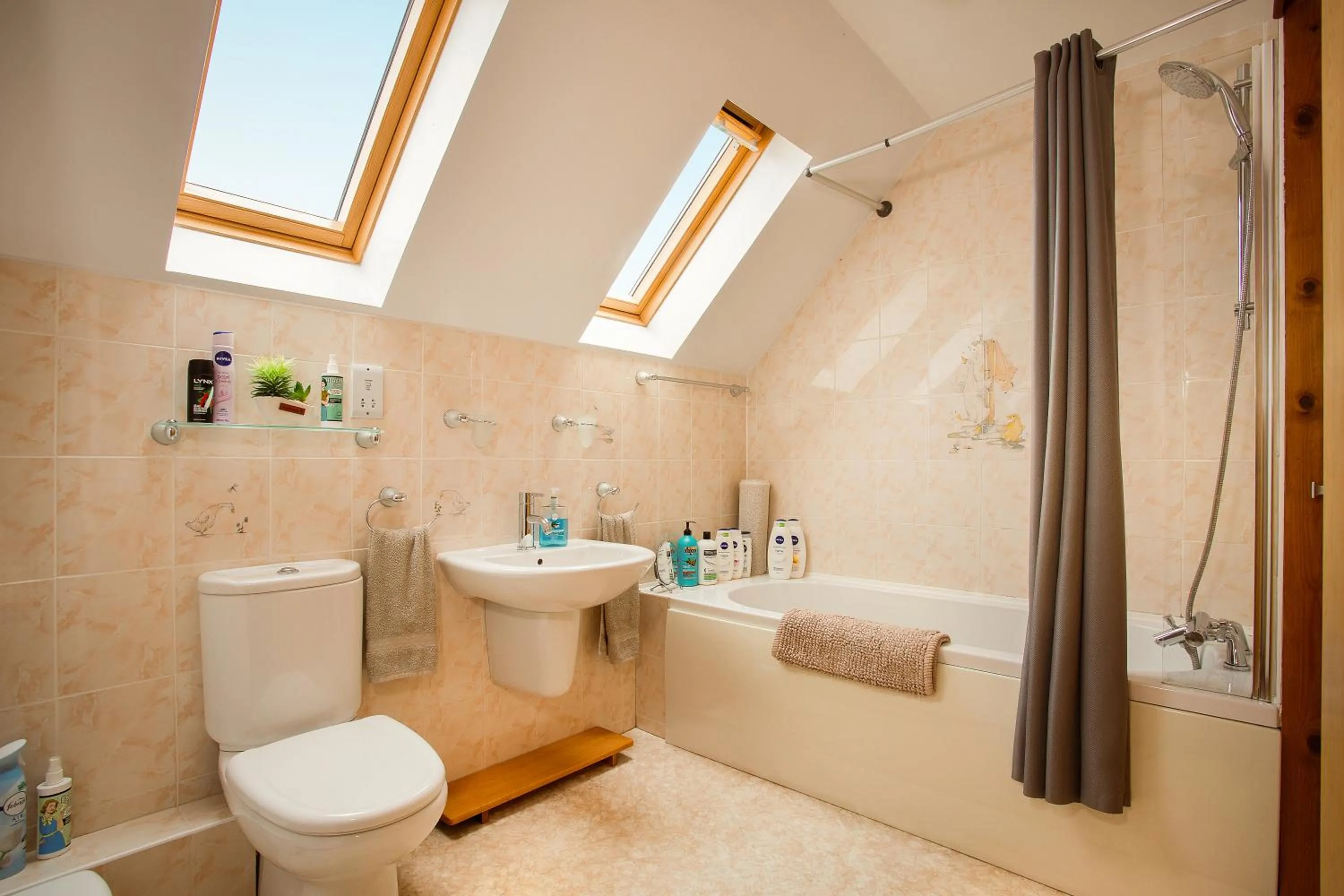 Shower in Beechwood Lodge