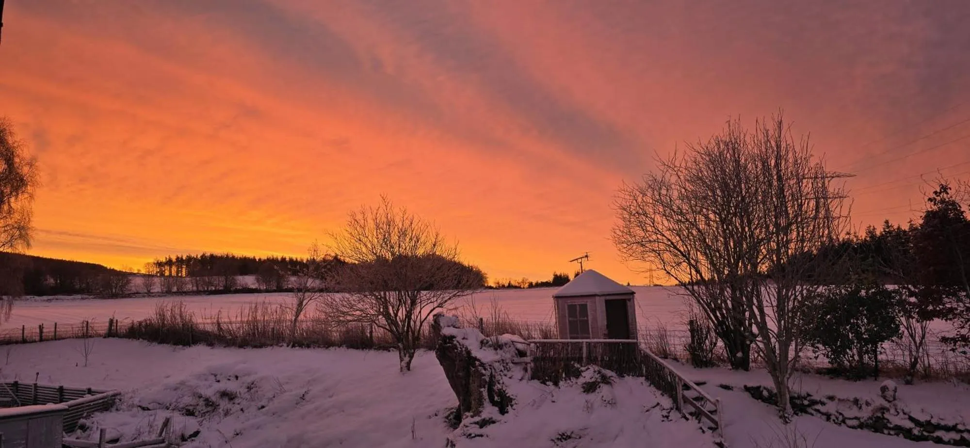 View (from property/room) in Beechwood Lodge