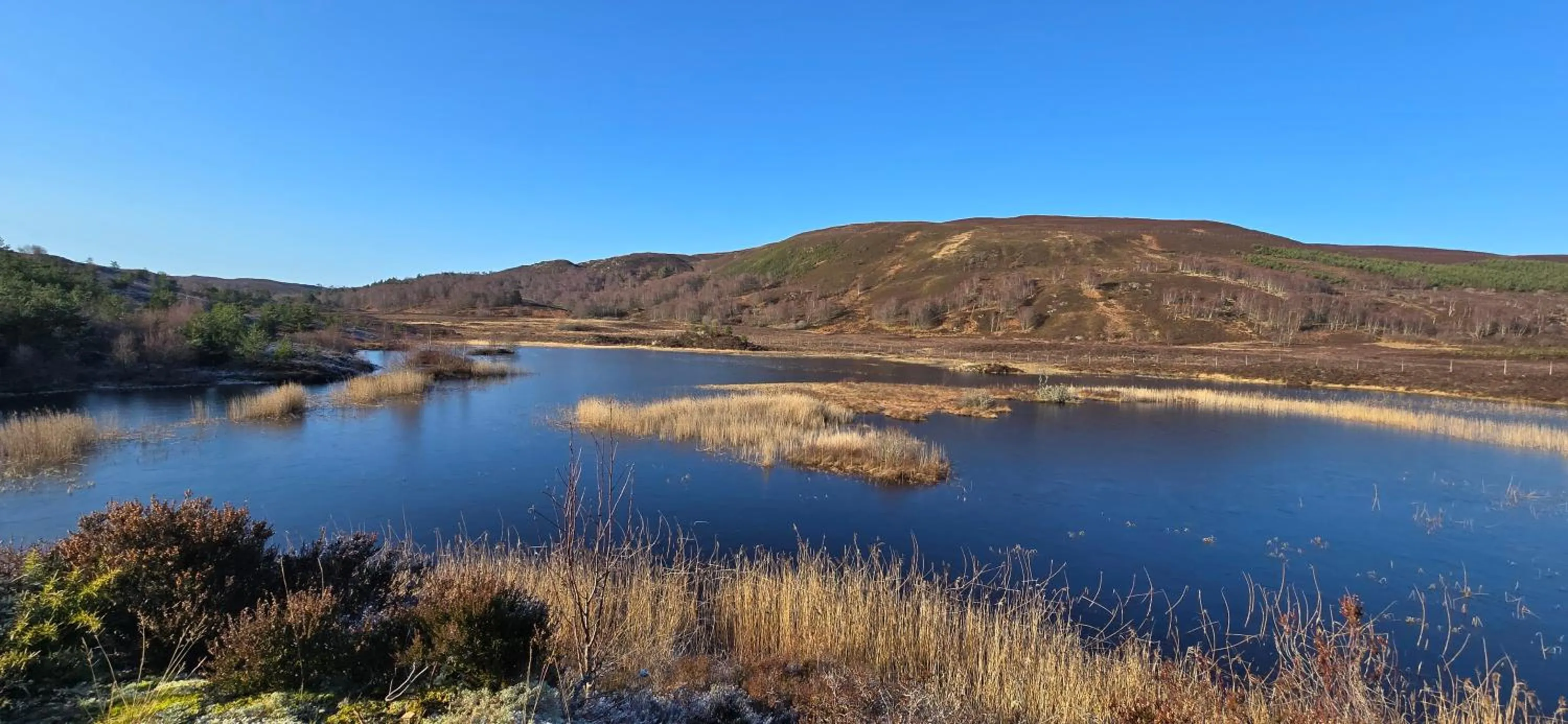 Nearby landmark in Beechwood Lodge