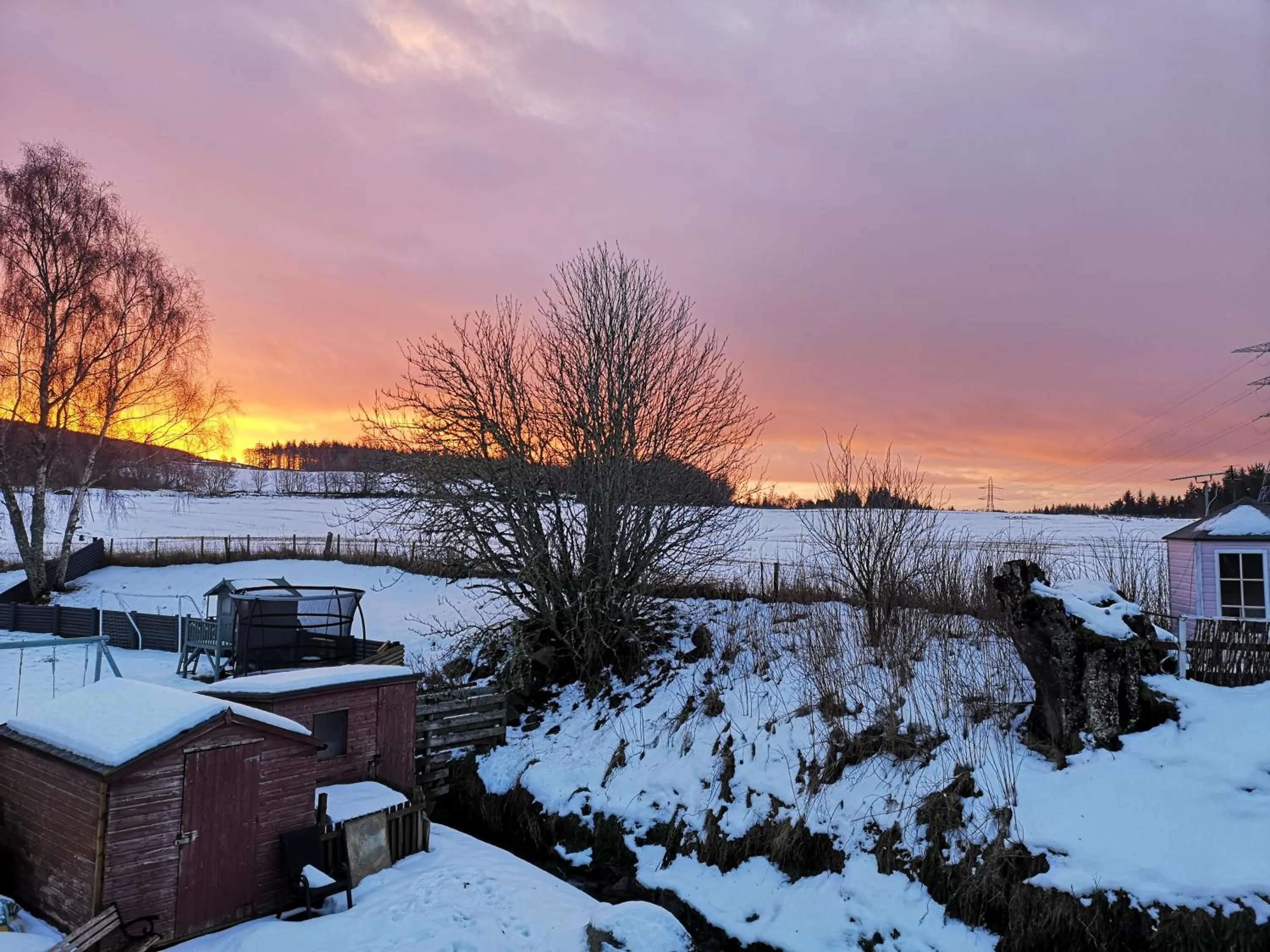 Day in Beechwood Lodge