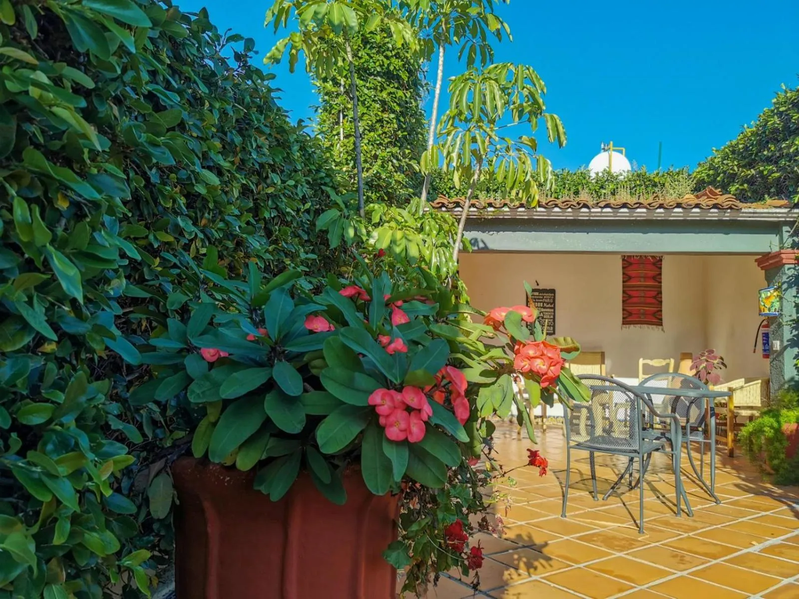 Patio in Hotel Casa Guivá