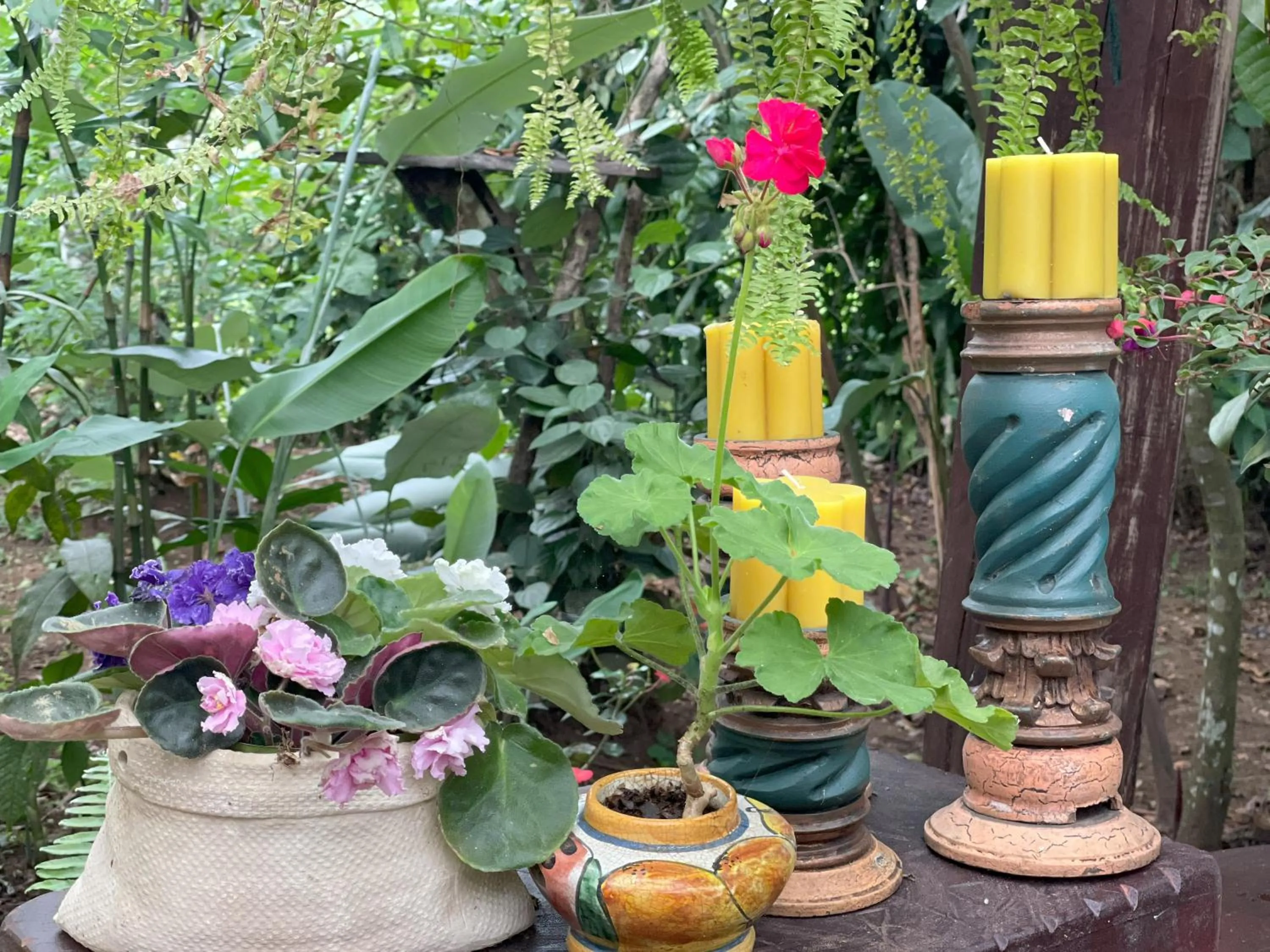 Garden in Kakao Lodge & Garden Río Celeste