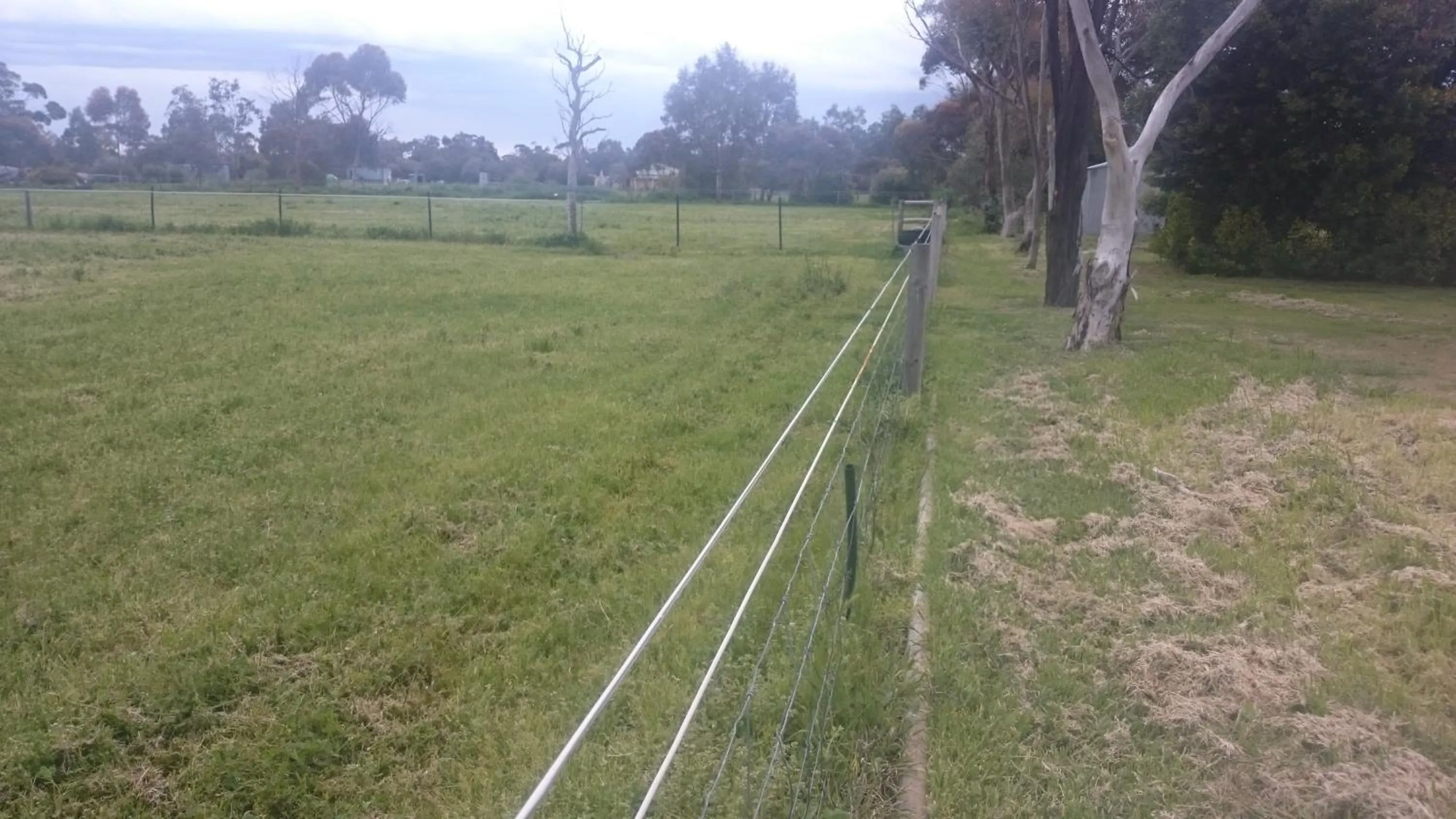 Natural landscape in Gaerwood B&B
