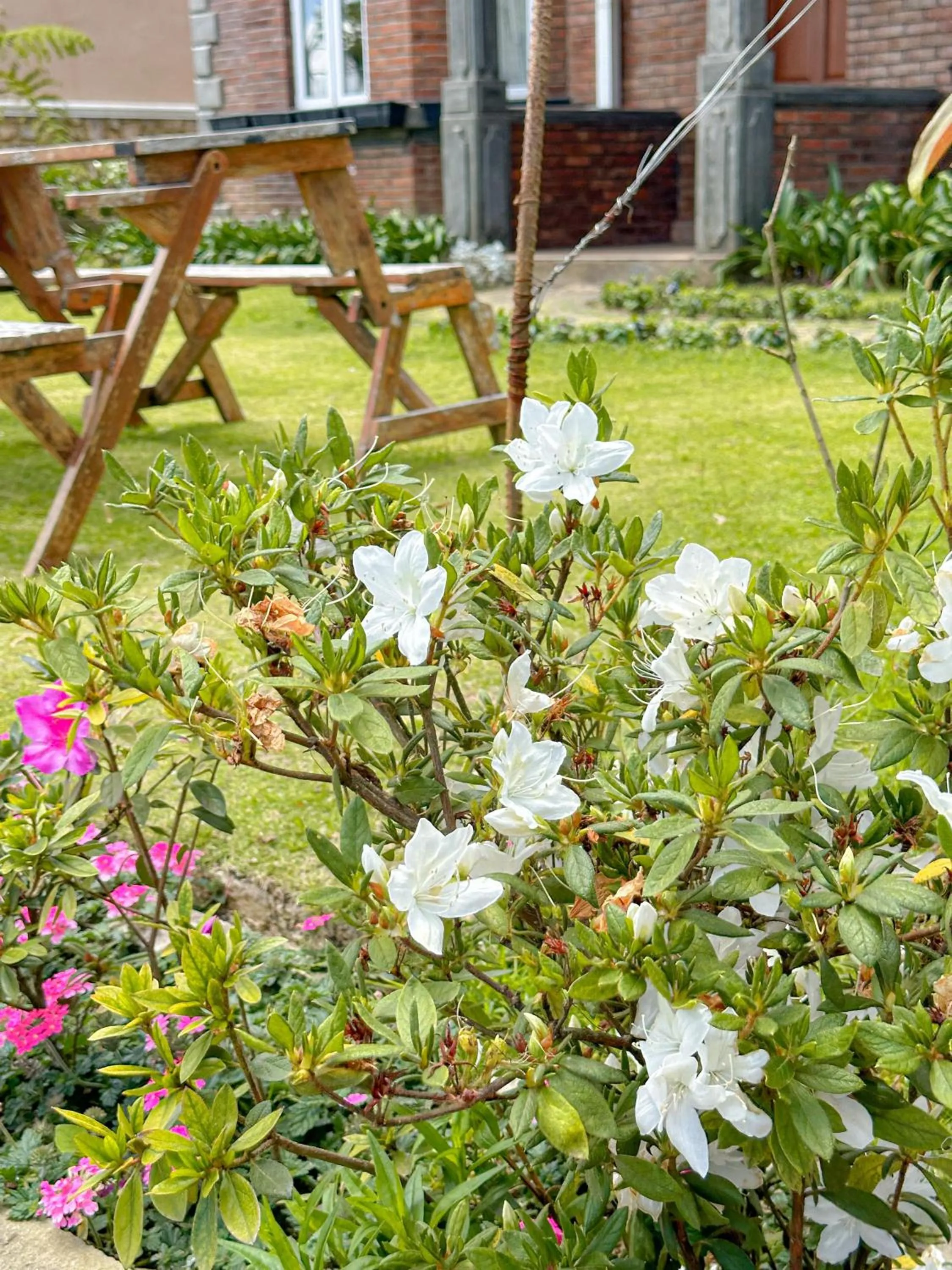 Garden in Kent Cottage