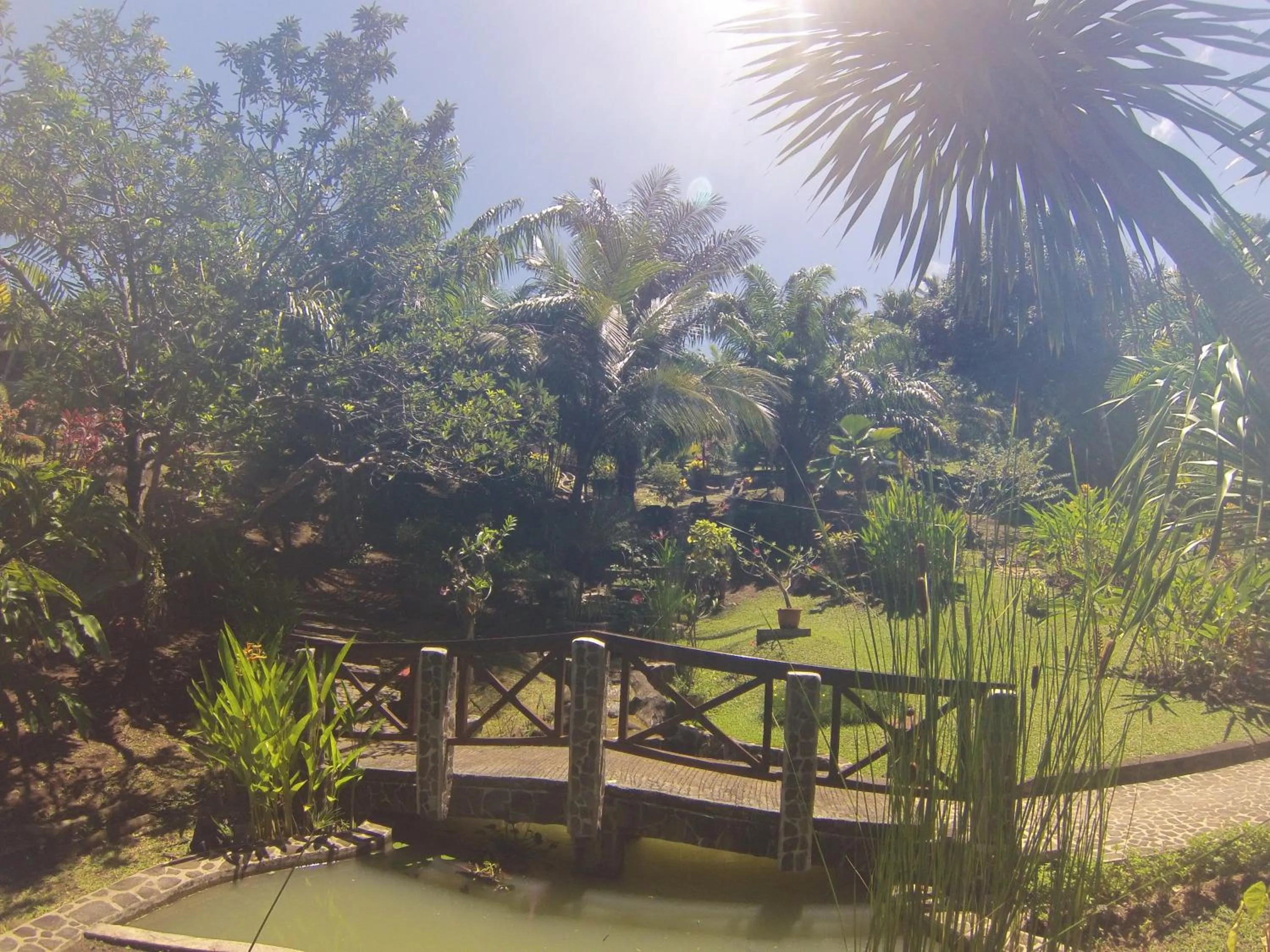 Garden in Lumbalumba Resort - Manado