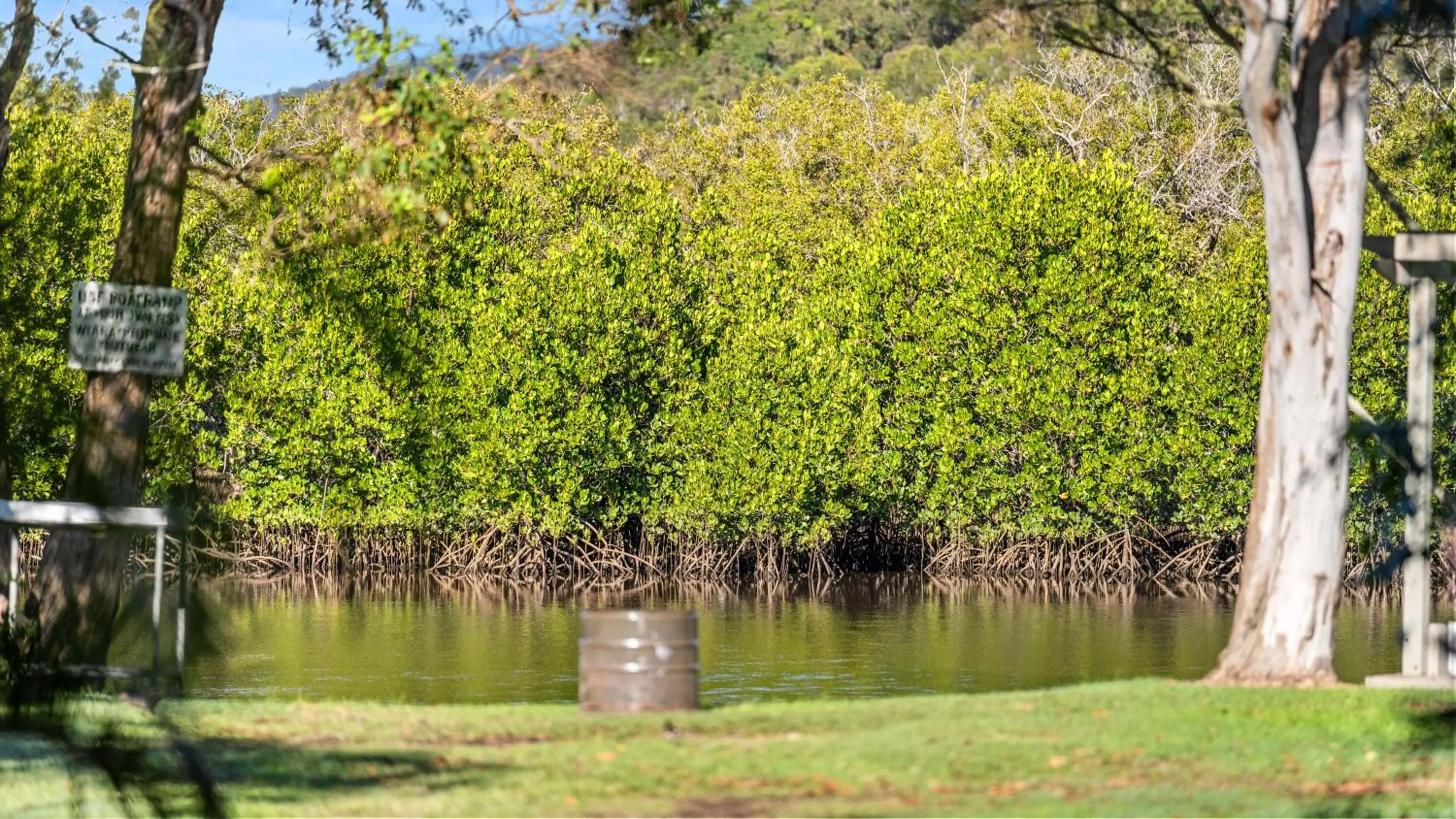 Nearby landmark in Wooli River Lodges