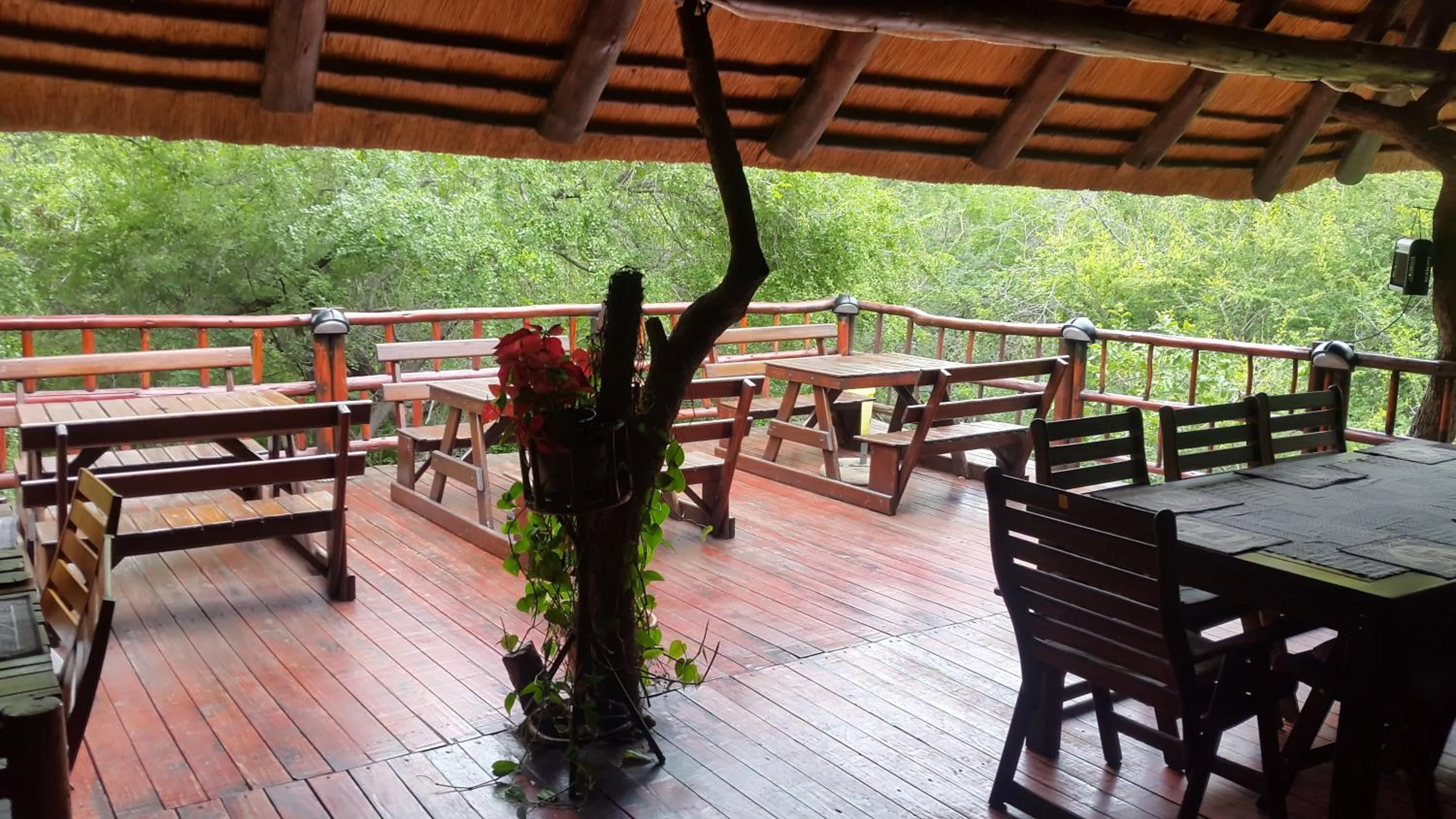 Restaurant/places to eat in Jabula Kruger Safari Lodge