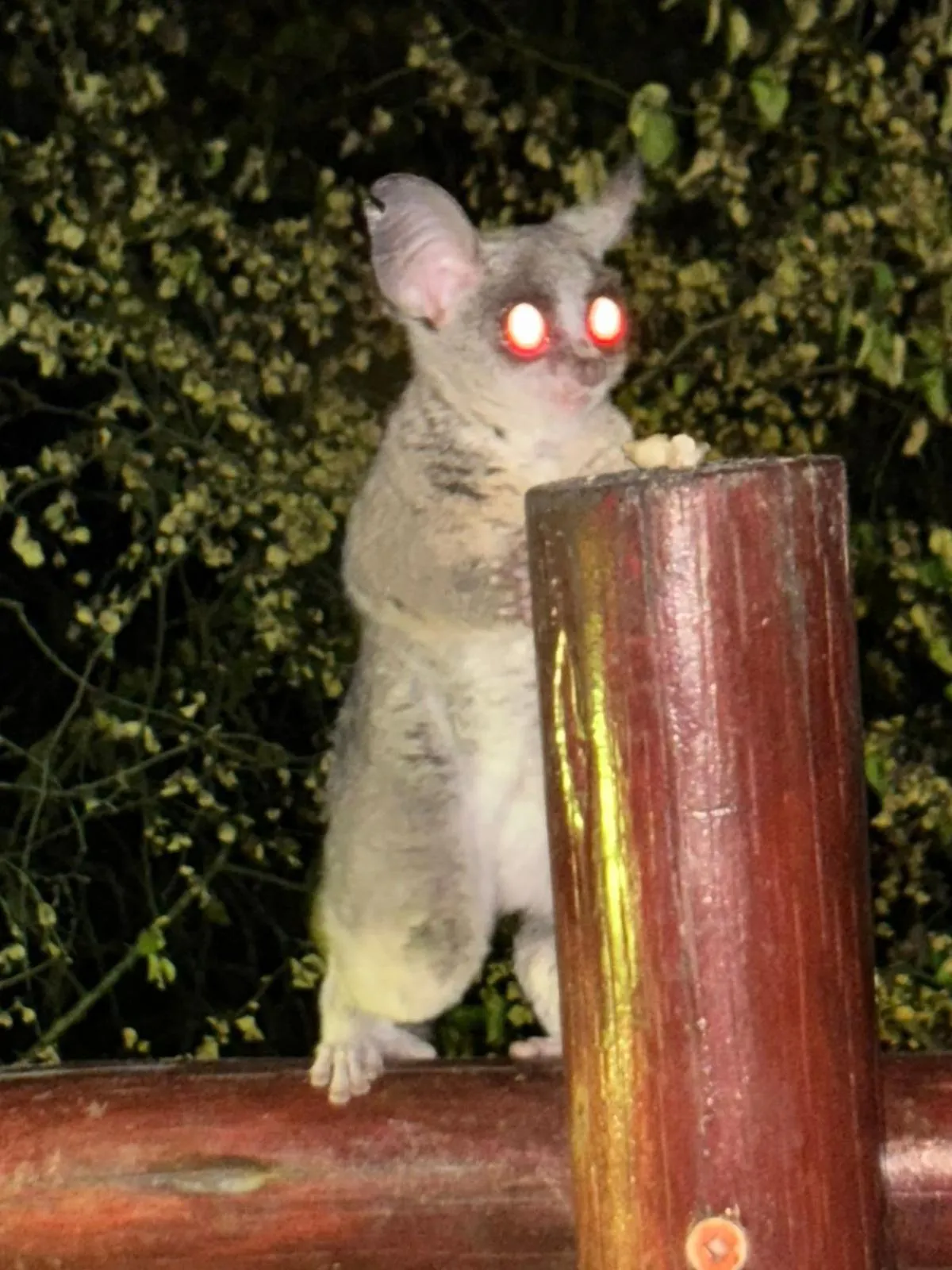 Restaurant/places to eat in Jabula Kruger Safari Lodge