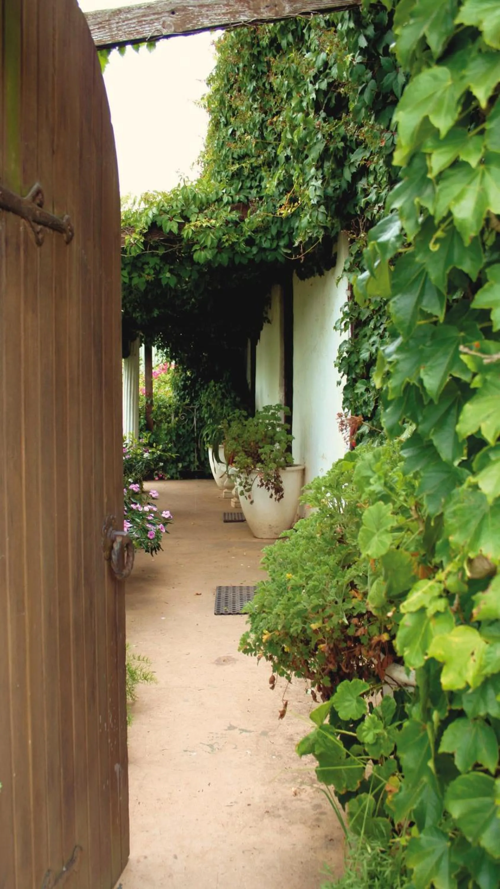 Property building in Leeuwenbosch Shearers Lodge - Amakhala Game Reserve