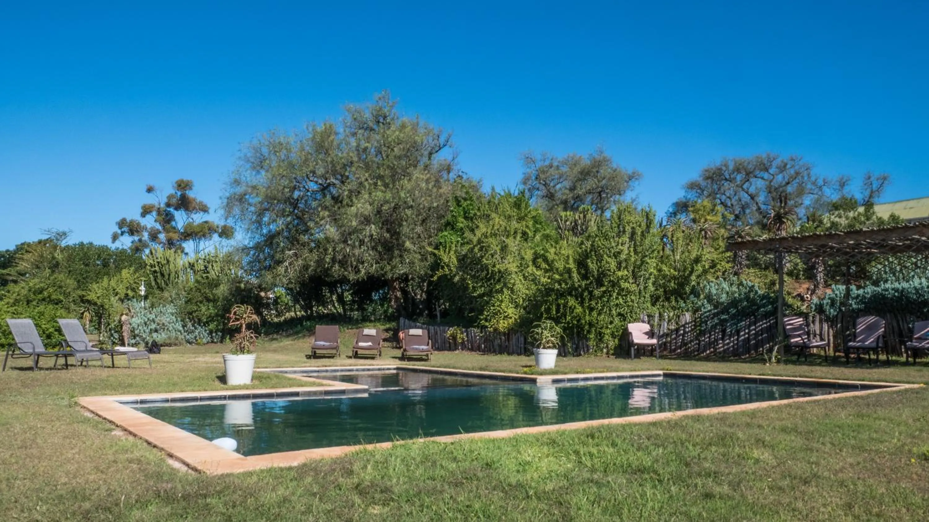 Swimming pool in Leeuwenbosch Shearers Lodge - Amakhala Game Reserve