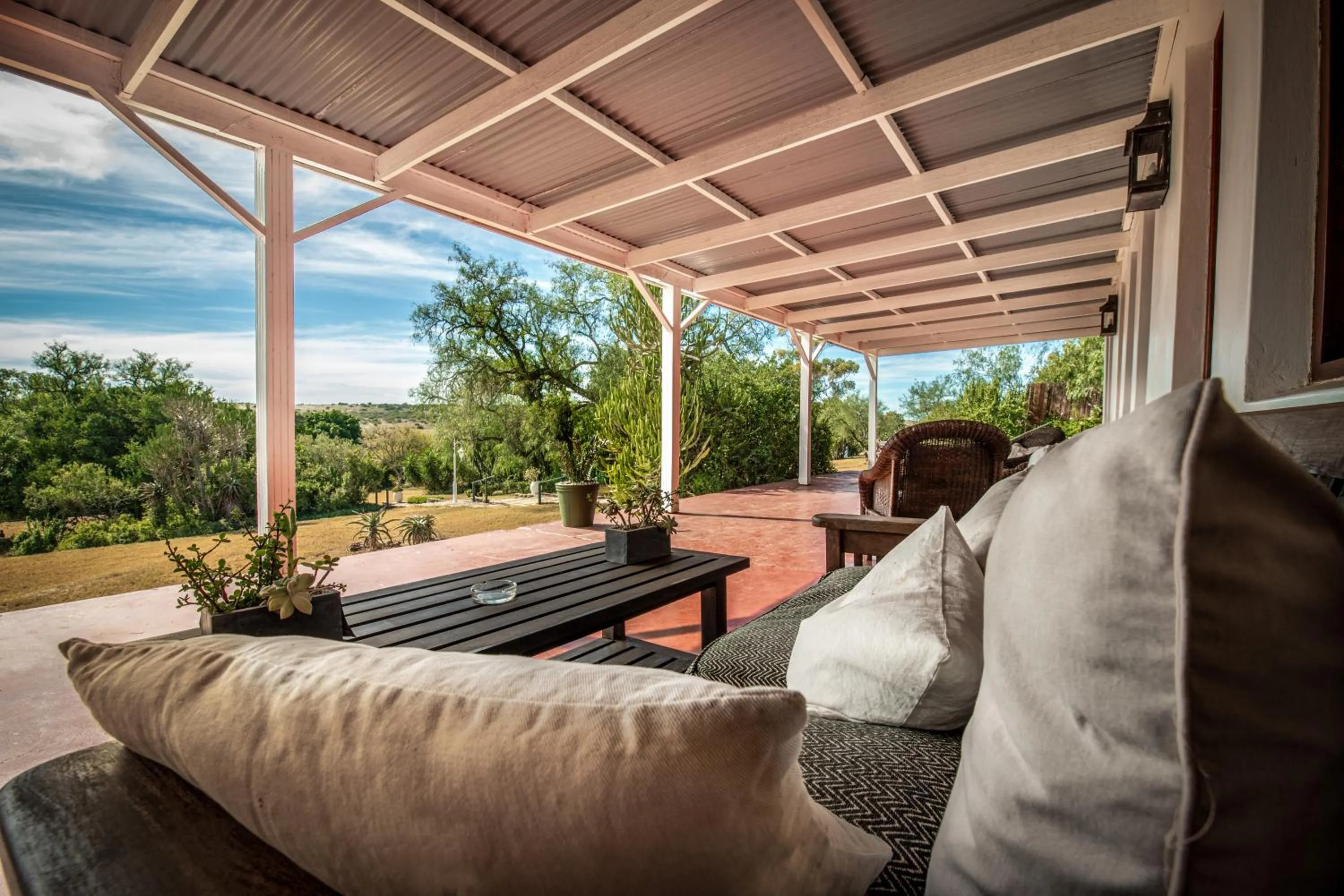 View (from property/room) in Leeuwenbosch Shearers Lodge - Amakhala Game Reserve