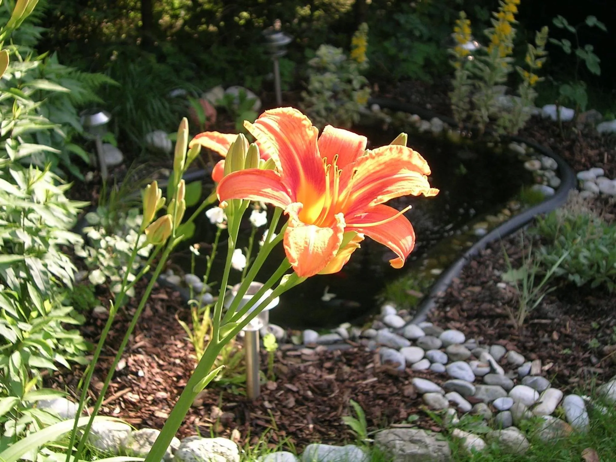 Garden in Gasthof-Pension Golob