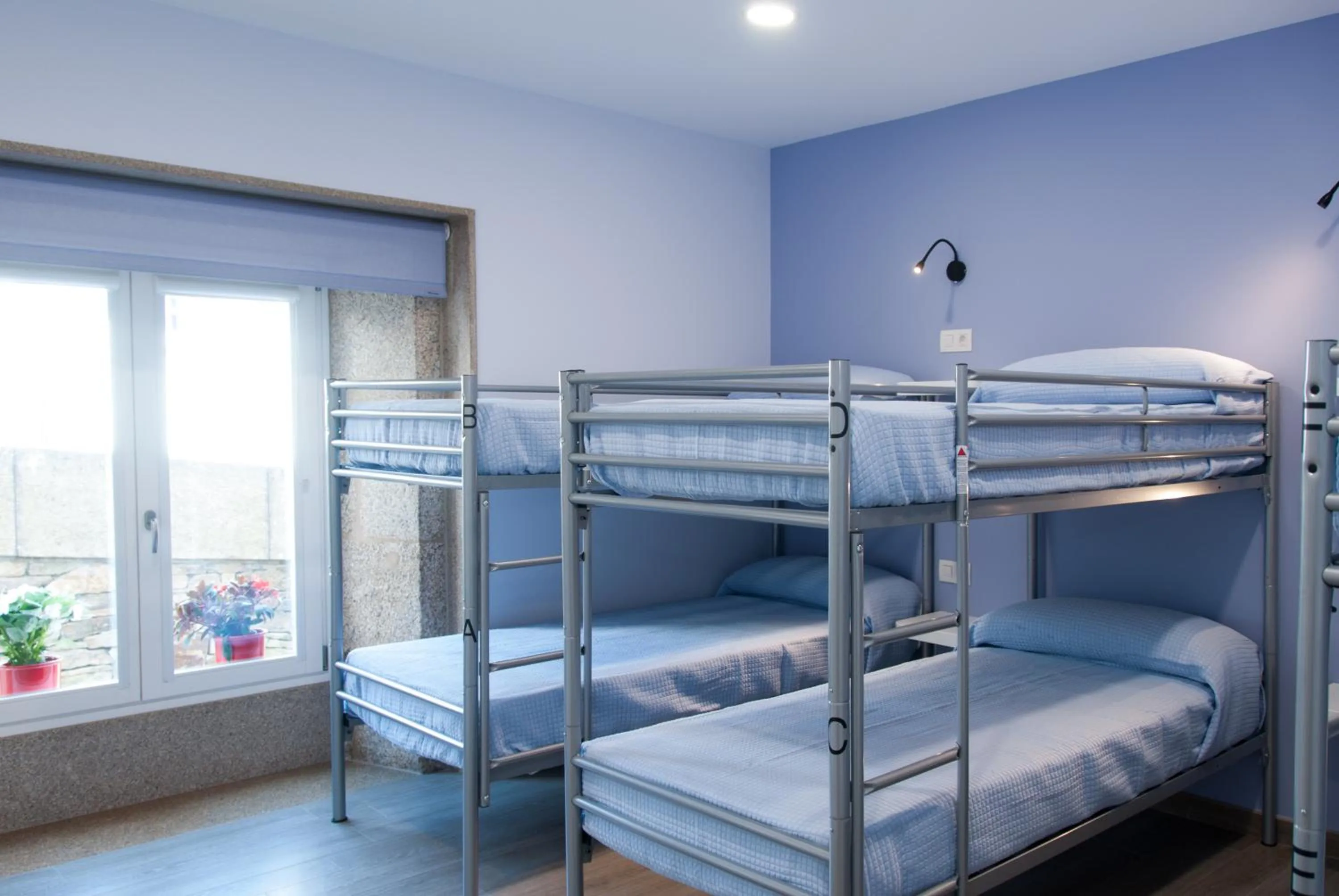bunk bed, Bed in Albergue Linares