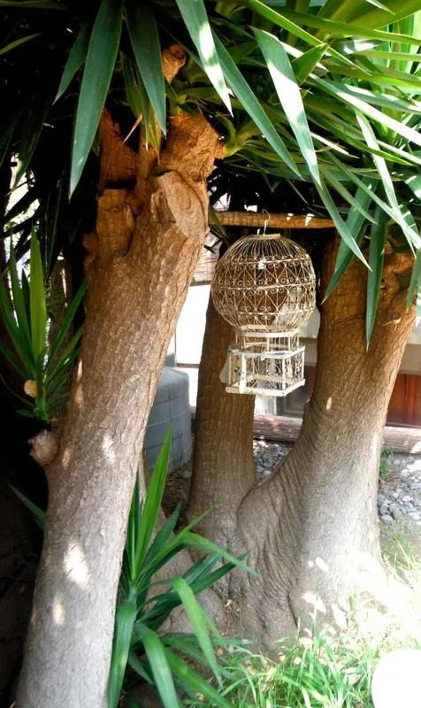 Casa Tellina lungomare scogliera