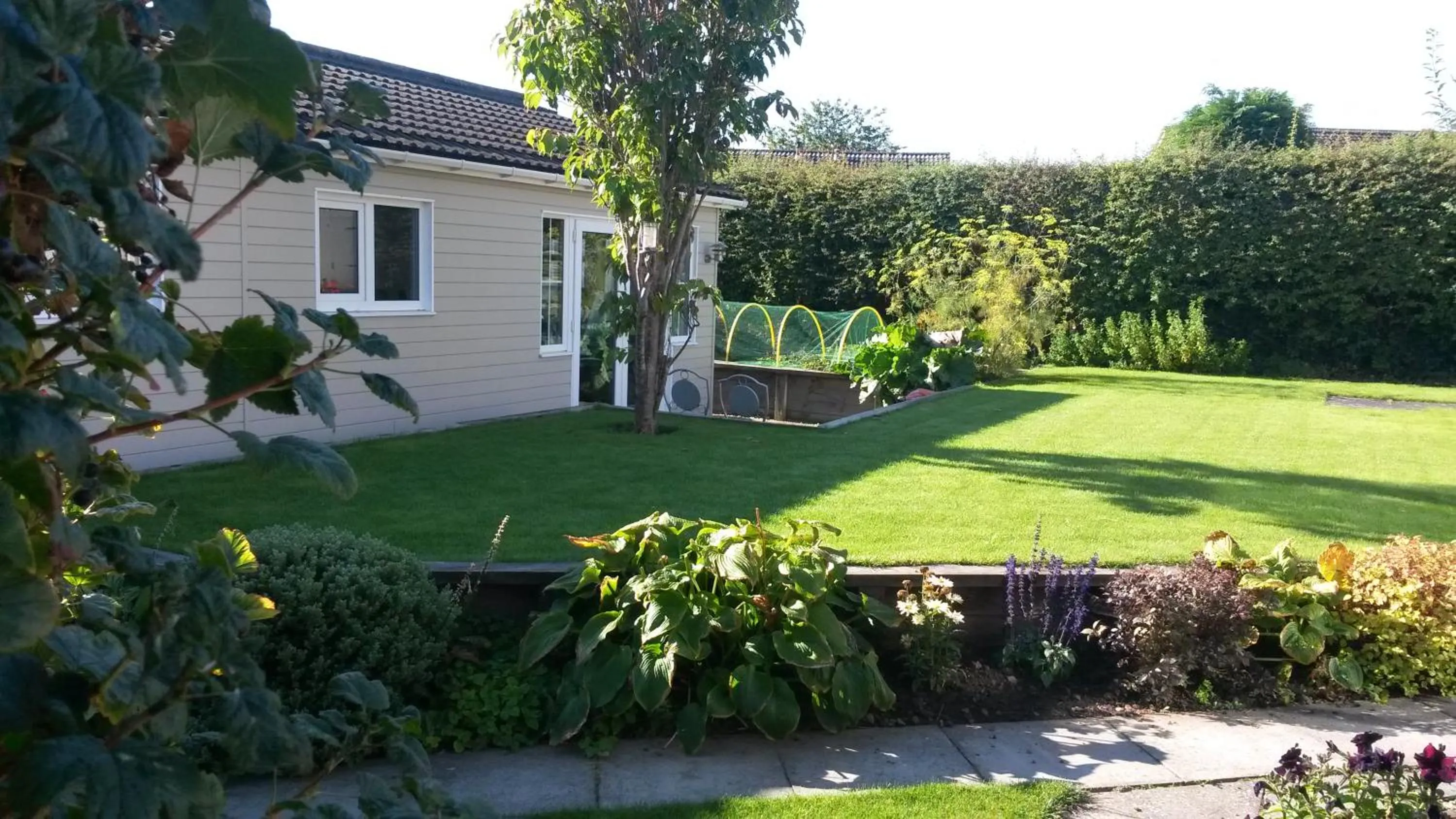 Garden in Premier Room