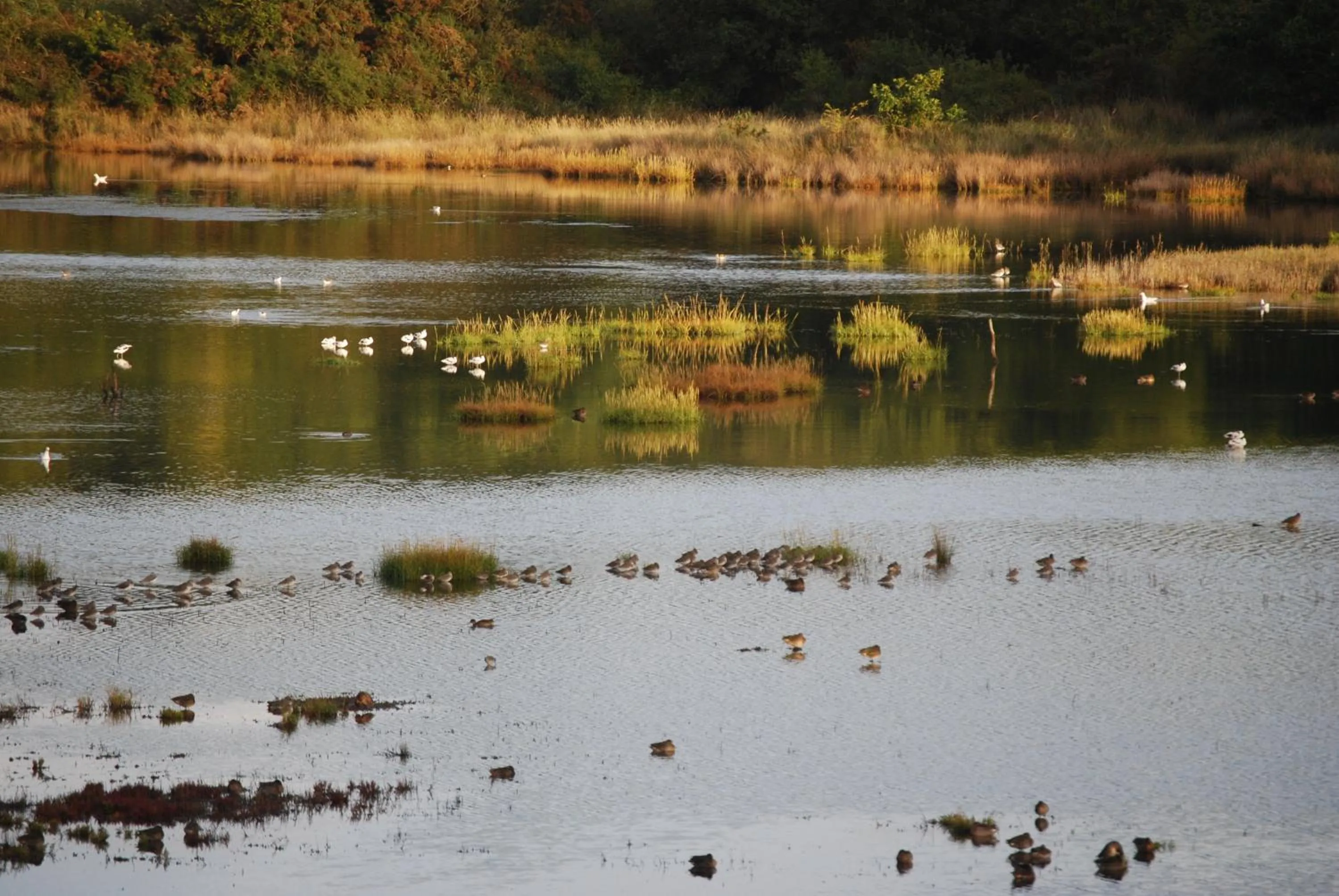 Nearby landmark in Kerzara - Le Gîte