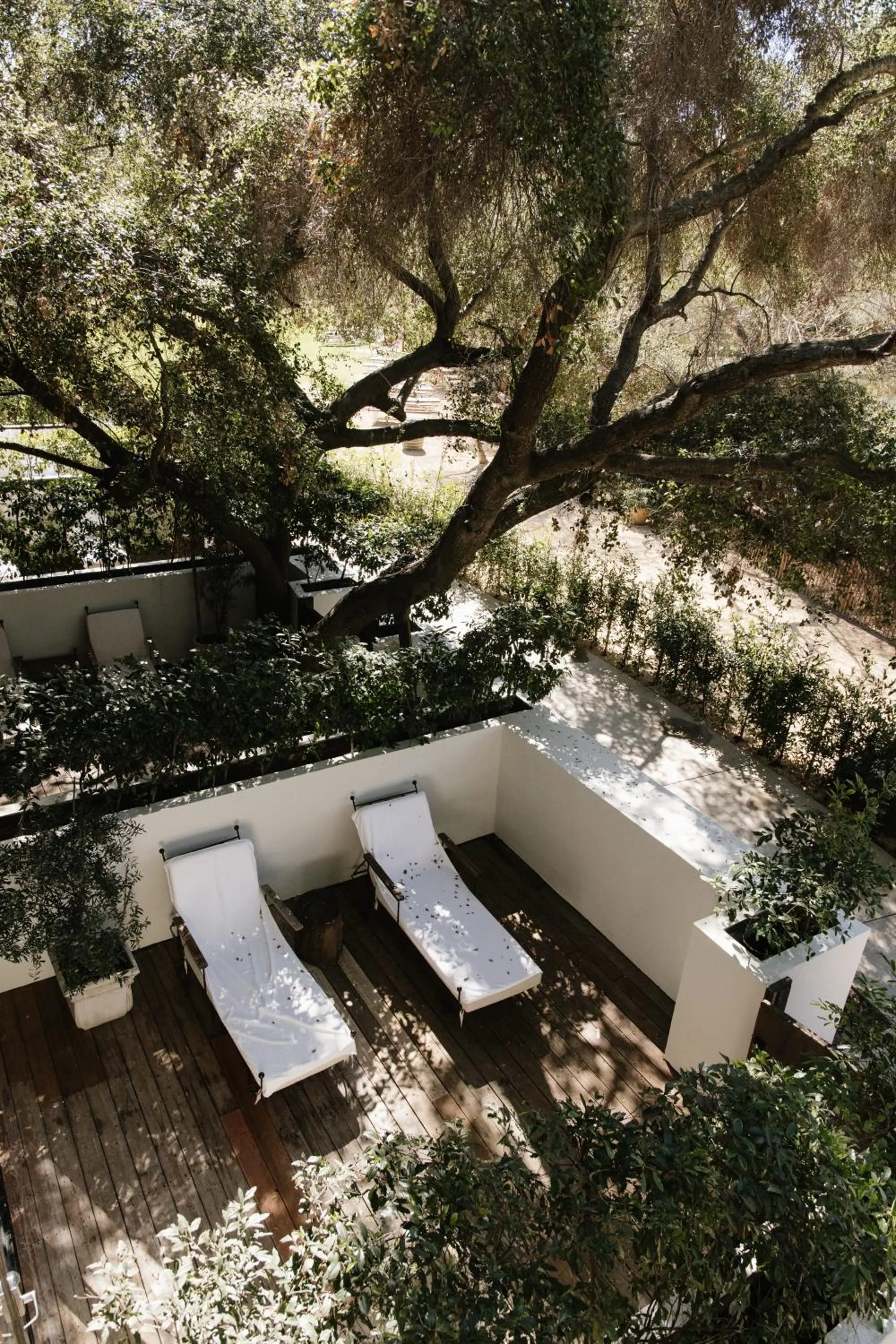 View (from property/room) in CALAMIGOS RANCH Resort & Spa