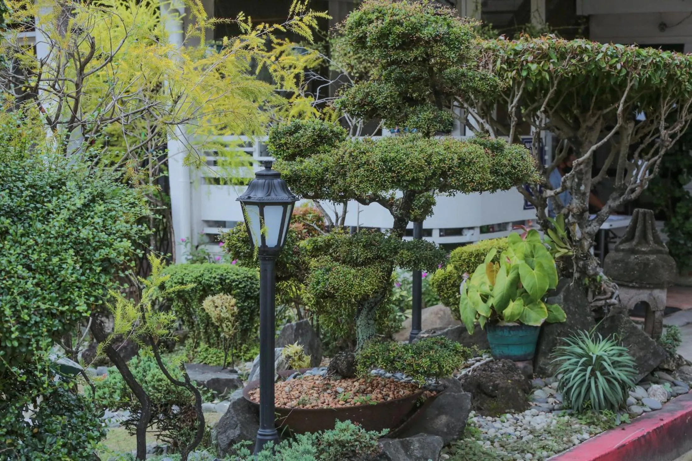 Garden in Rosvenil Hotel