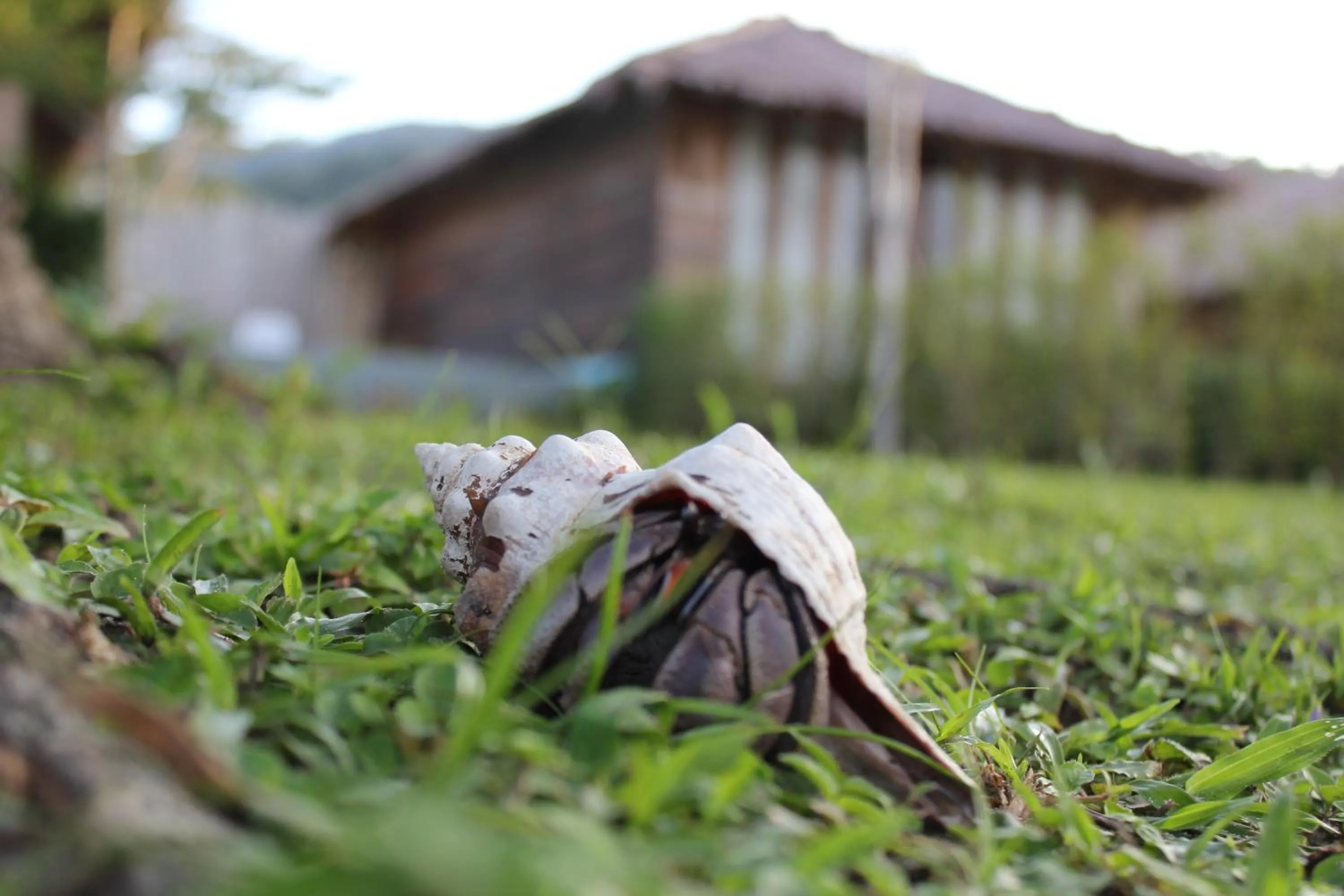 Property building in Koh Pu Villa