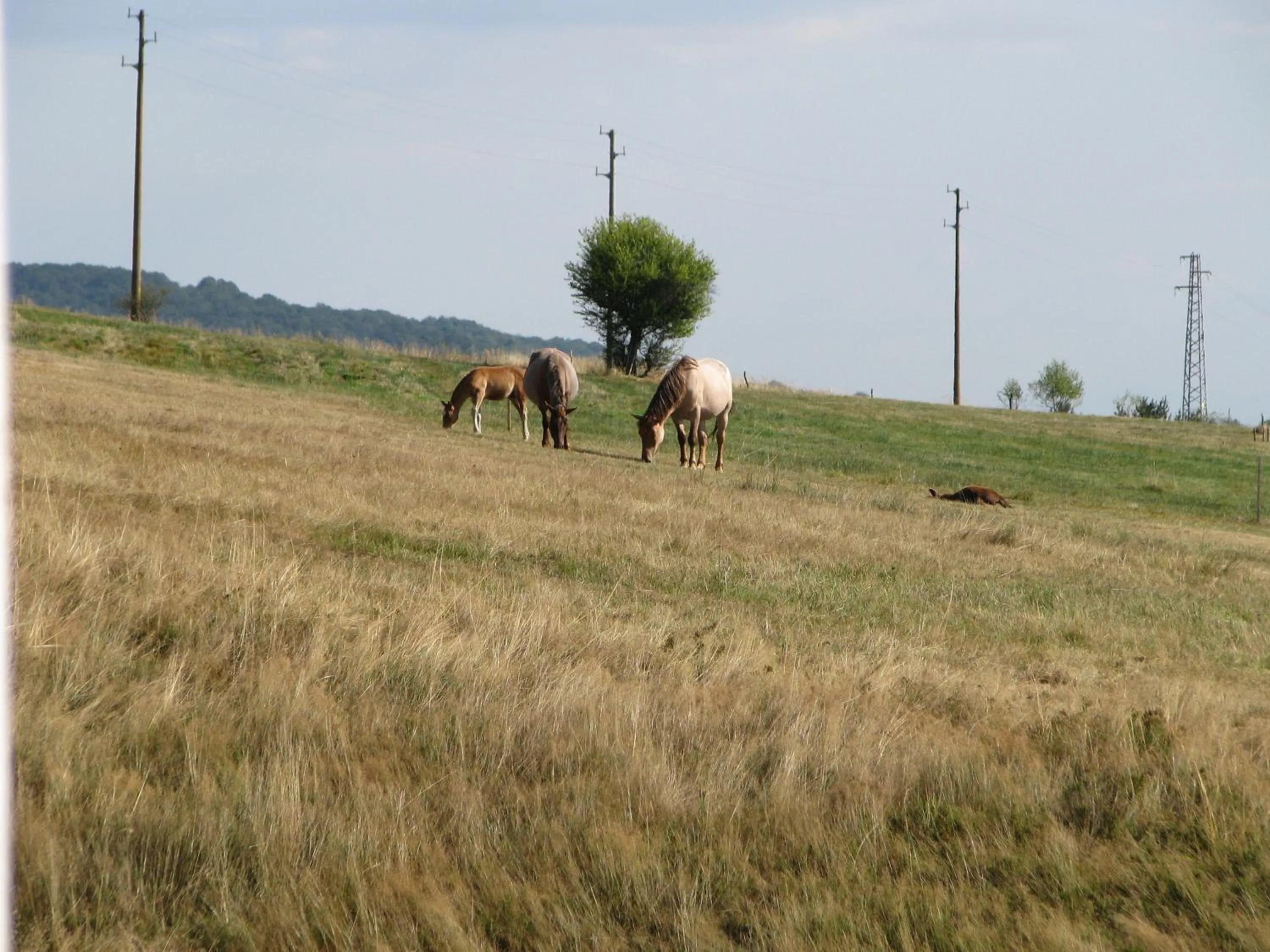 Property building in Park Hotel Eagle Stone