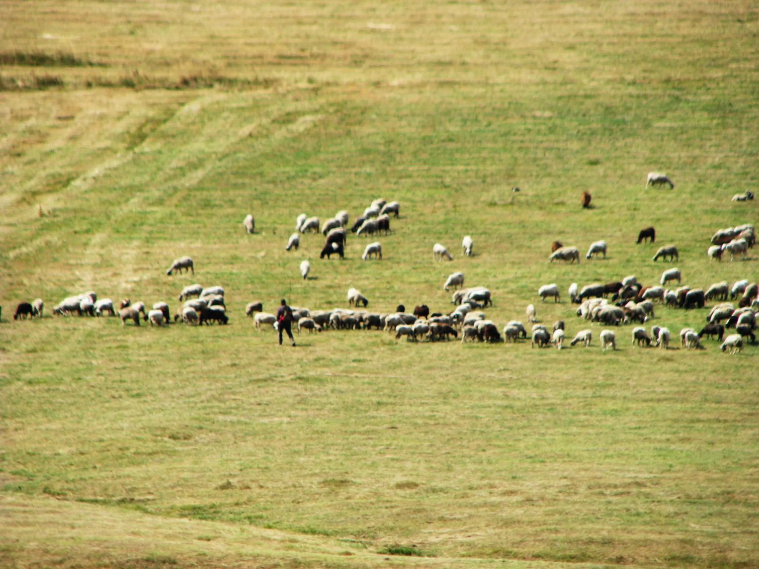 Mountain view in Park Hotel Eagle Stone