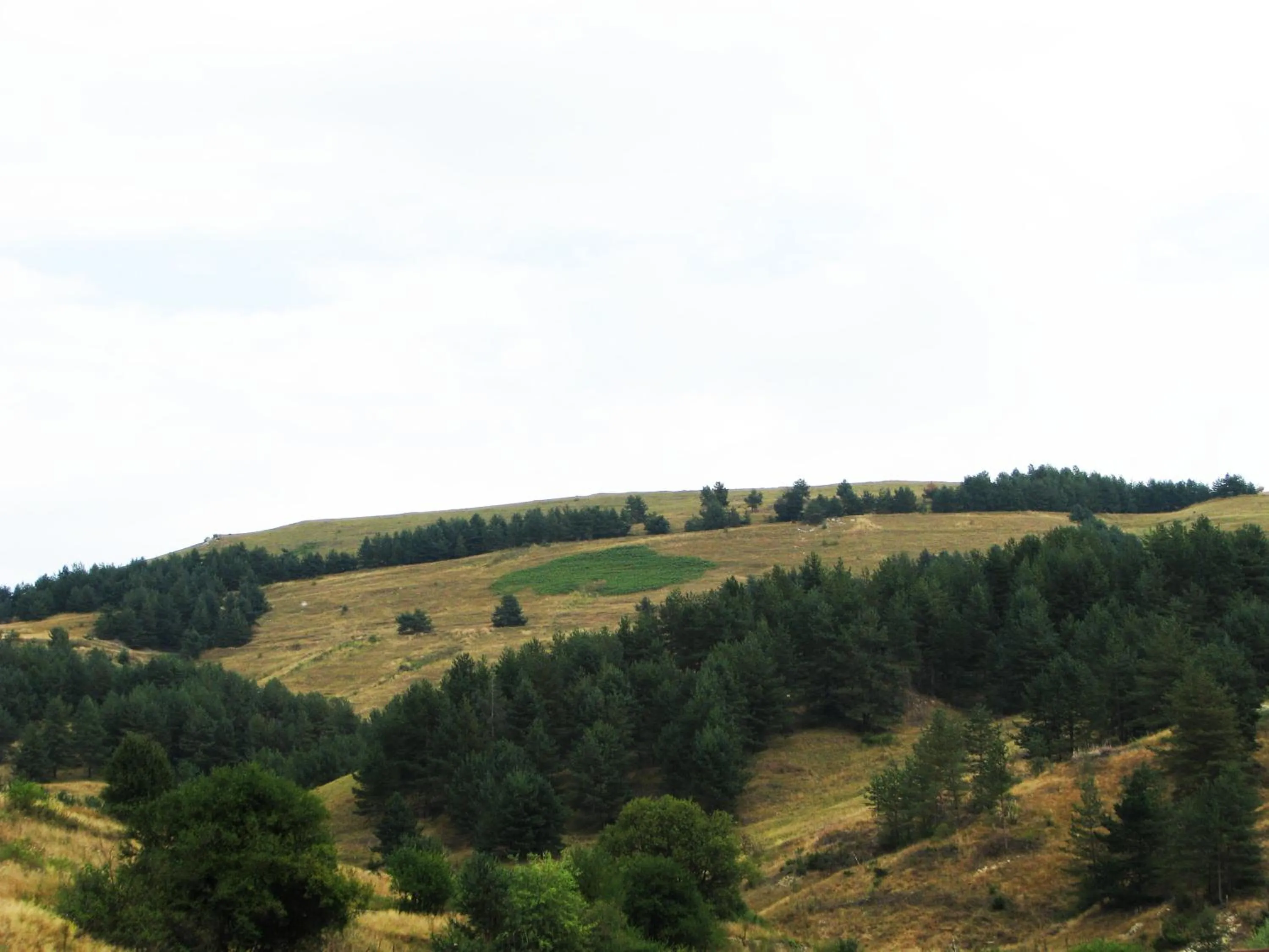 Park Hotel Eagle Stone