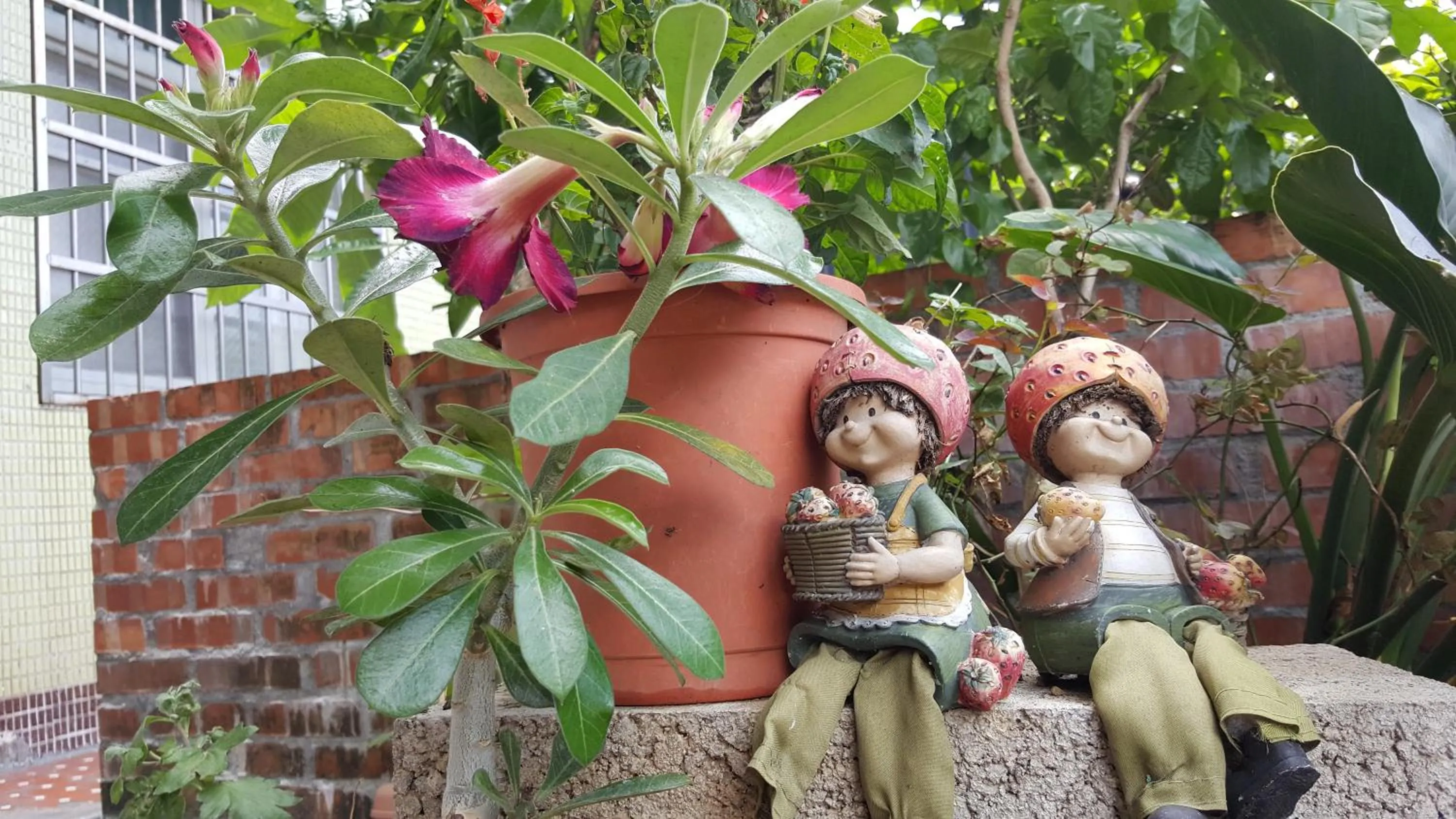 Property building in Qinbian B&B