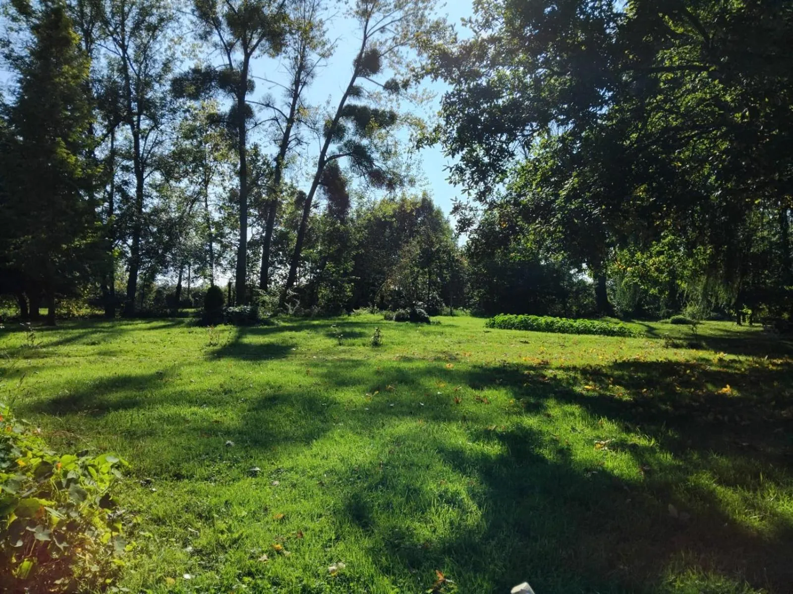 Garden in Gite Le Relais Saint Michel