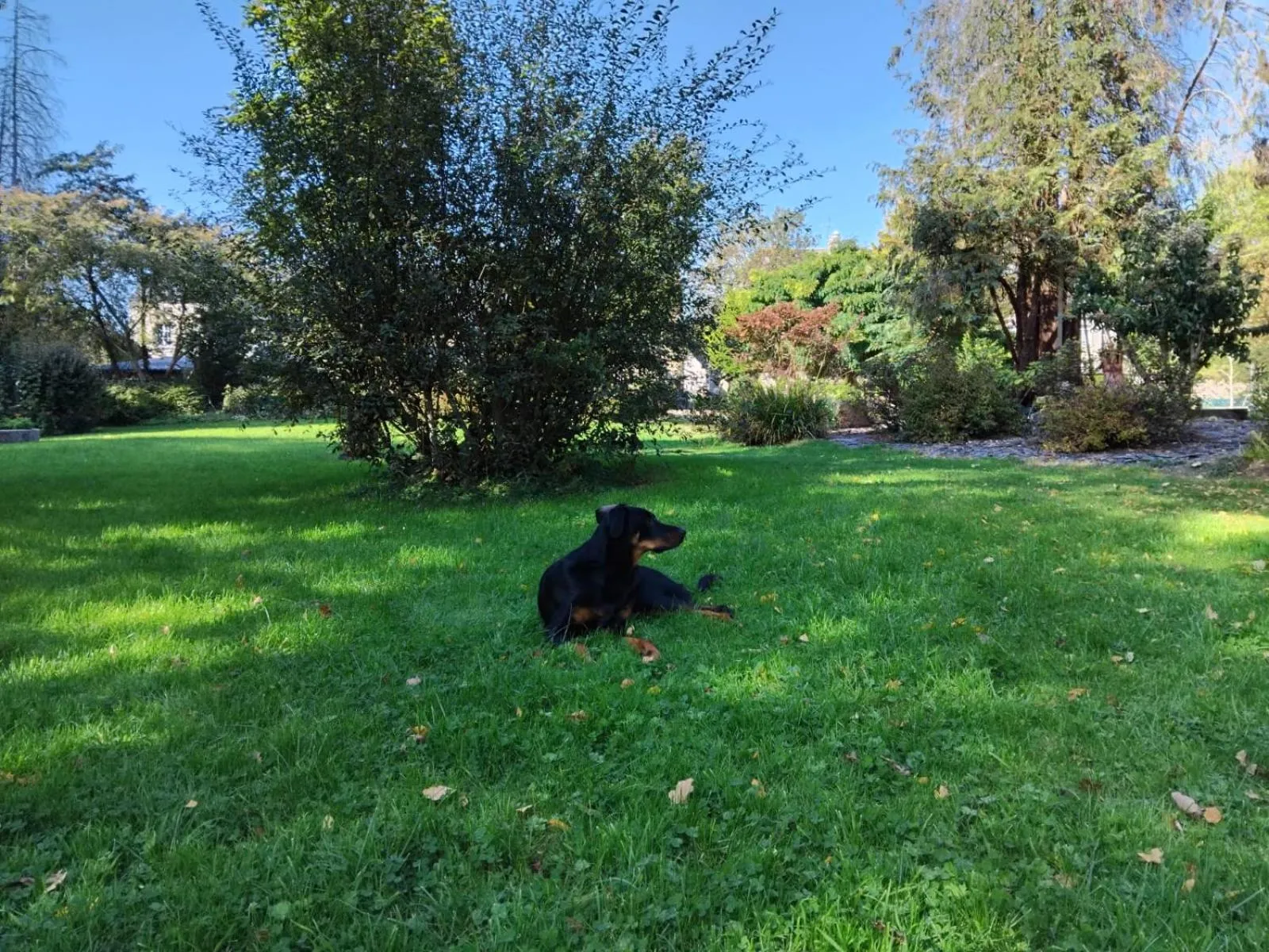 Garden in Gite Le Relais Saint Michel