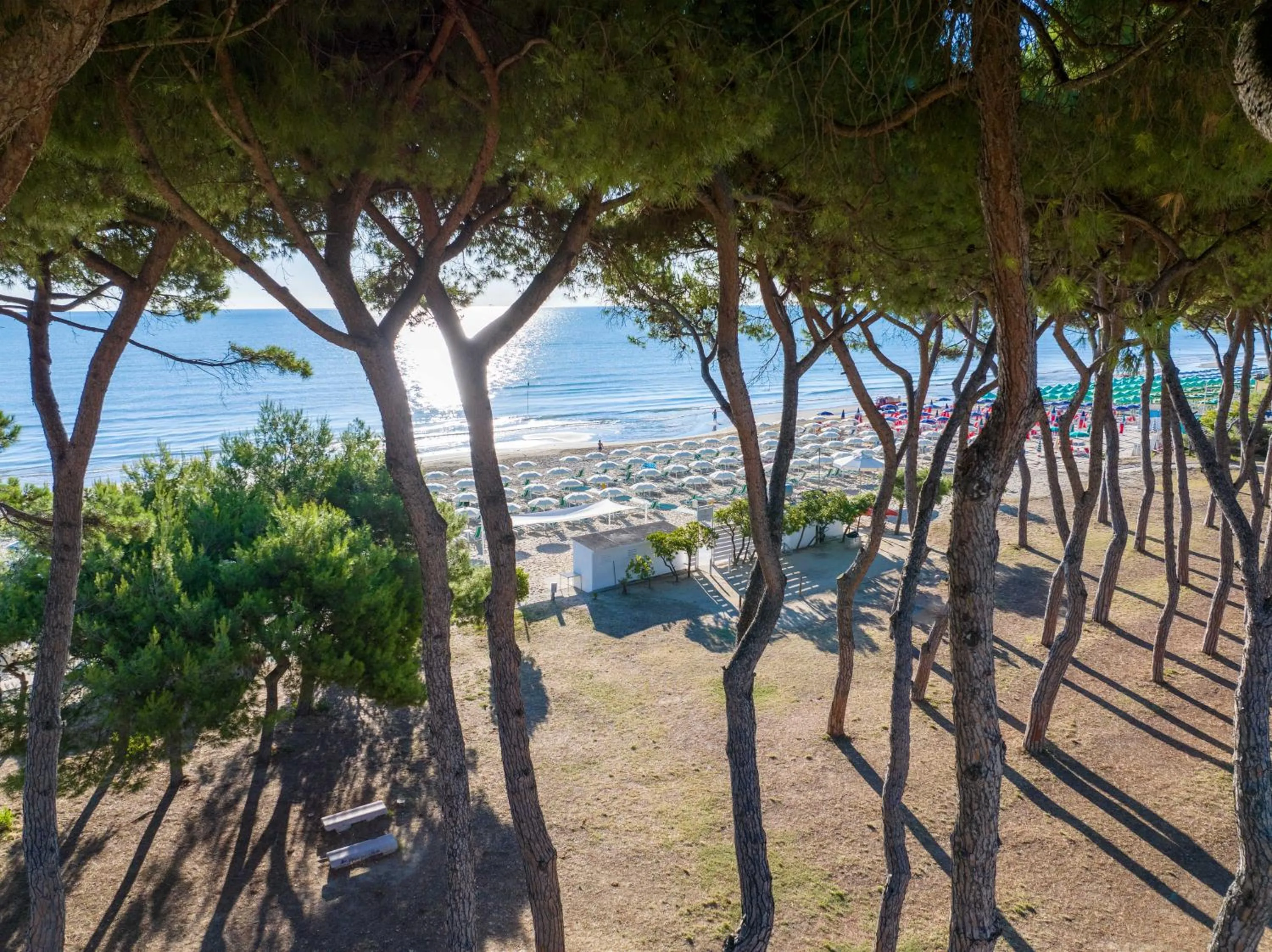 Beach in Hotel La Pineta