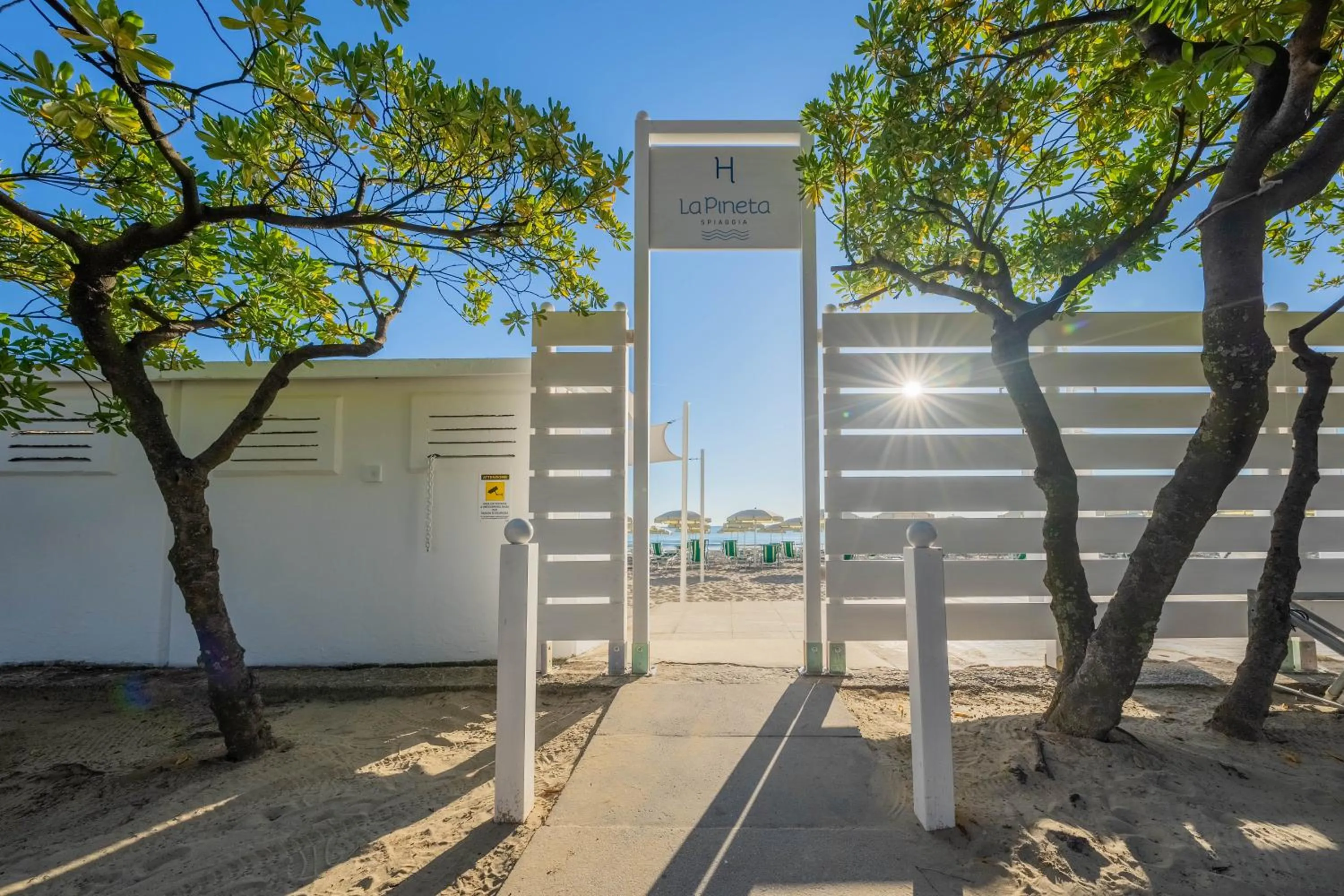 Beach in Hotel La Pineta