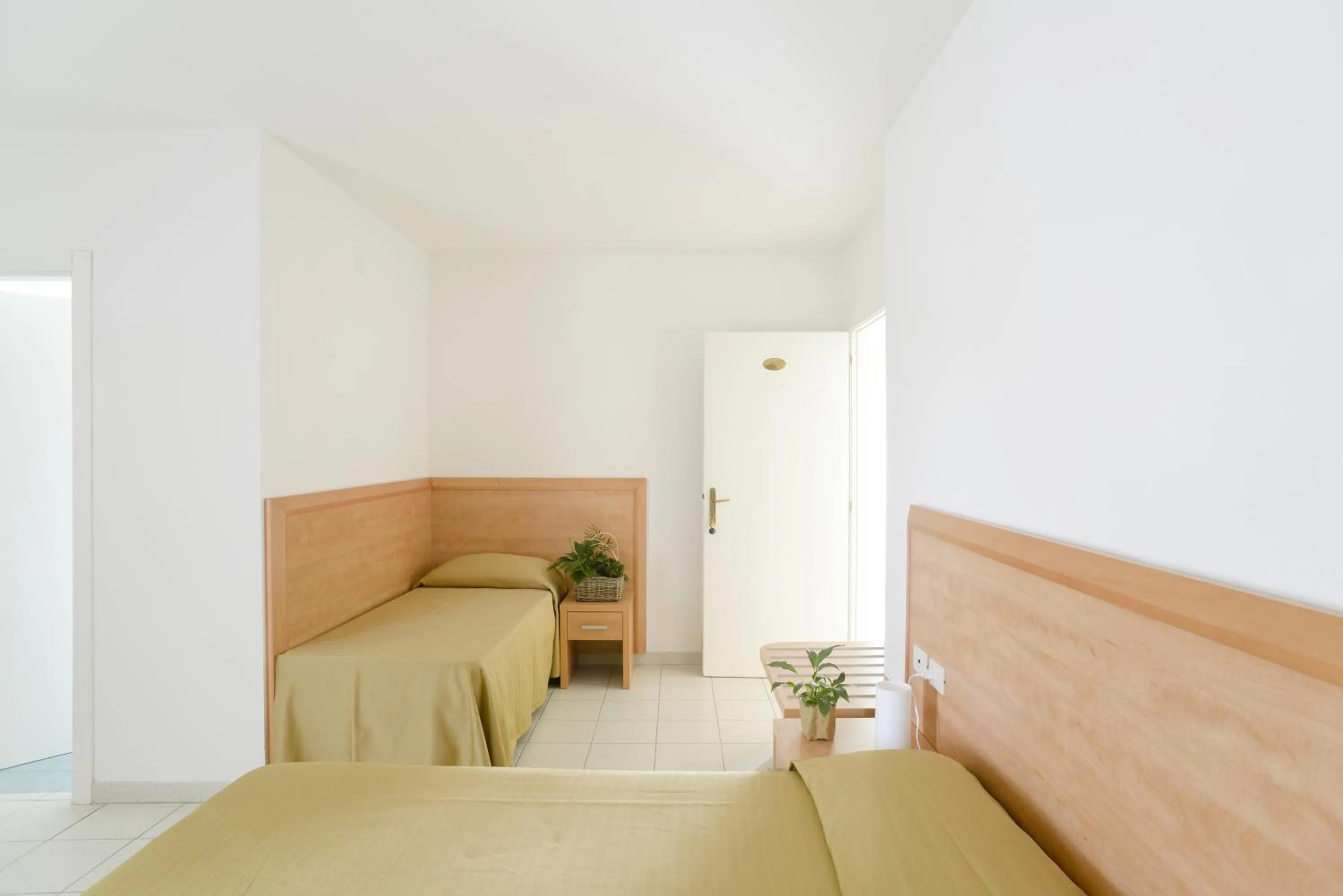 Photo of the whole room in Hotel La Pineta