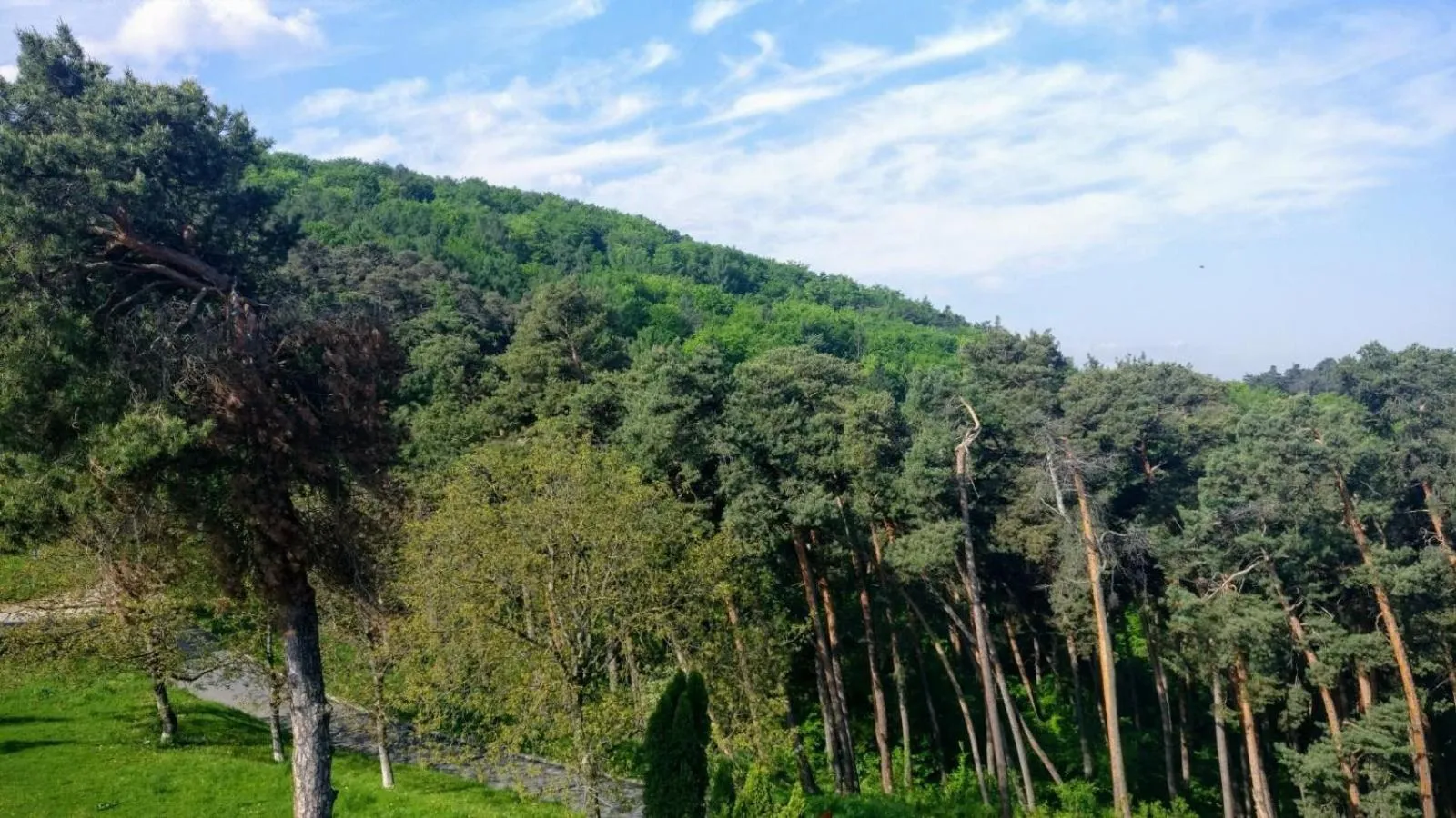 Natural landscape in The Pines Boutique Villa