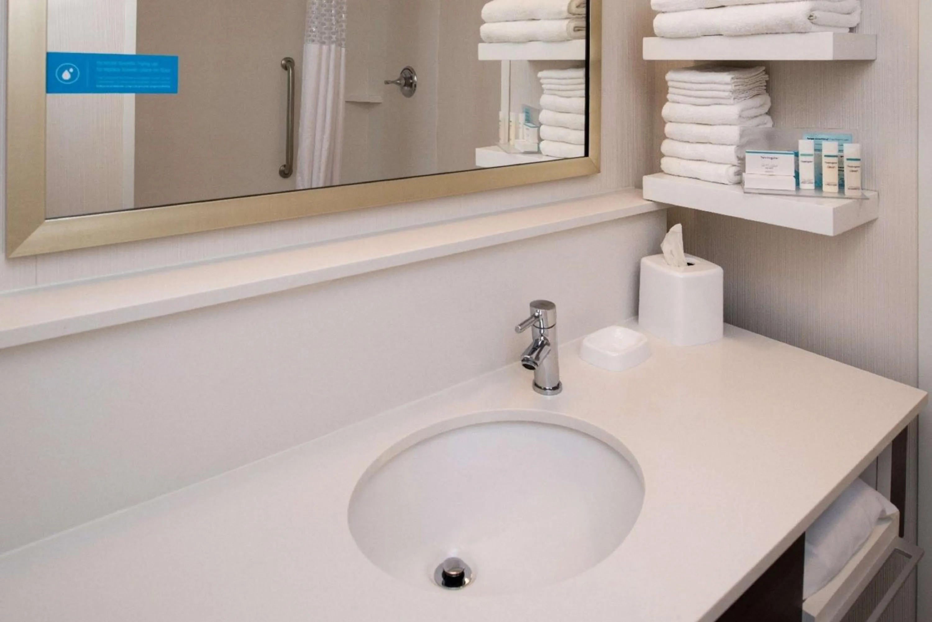 Bathroom in Hampton Inn - Paragould