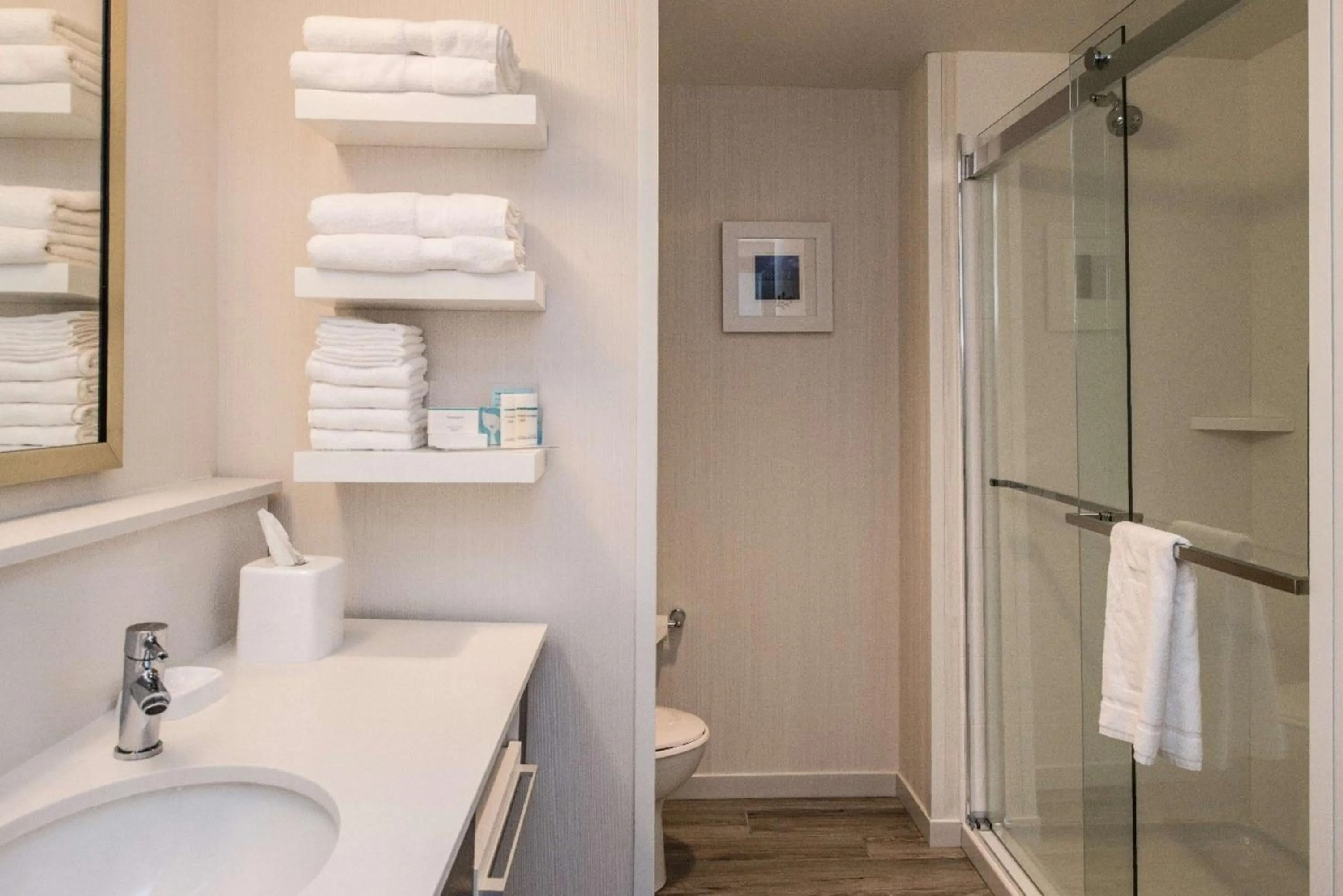 Bathroom in Hampton Inn - Paragould