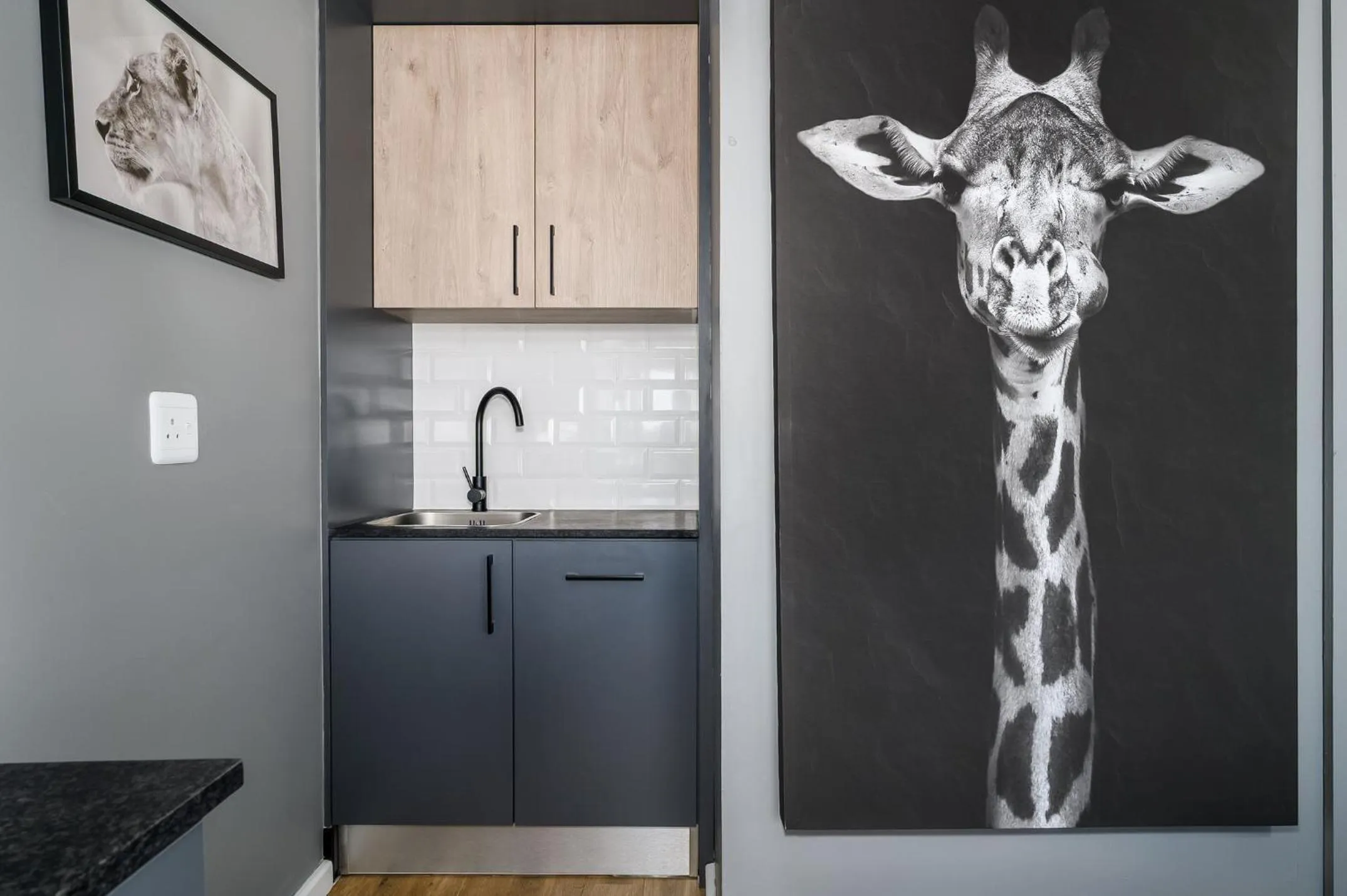 Kitchen or kitchenette in Kragga Kamma Game Park