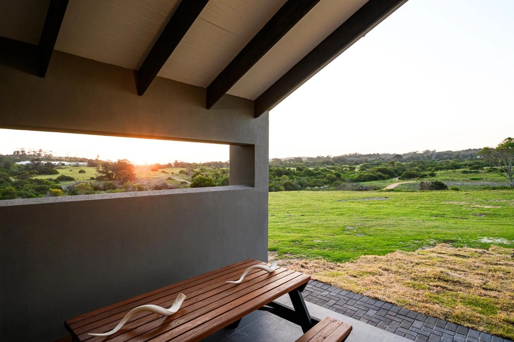 View (from property/room) in Kragga Kamma Game Park