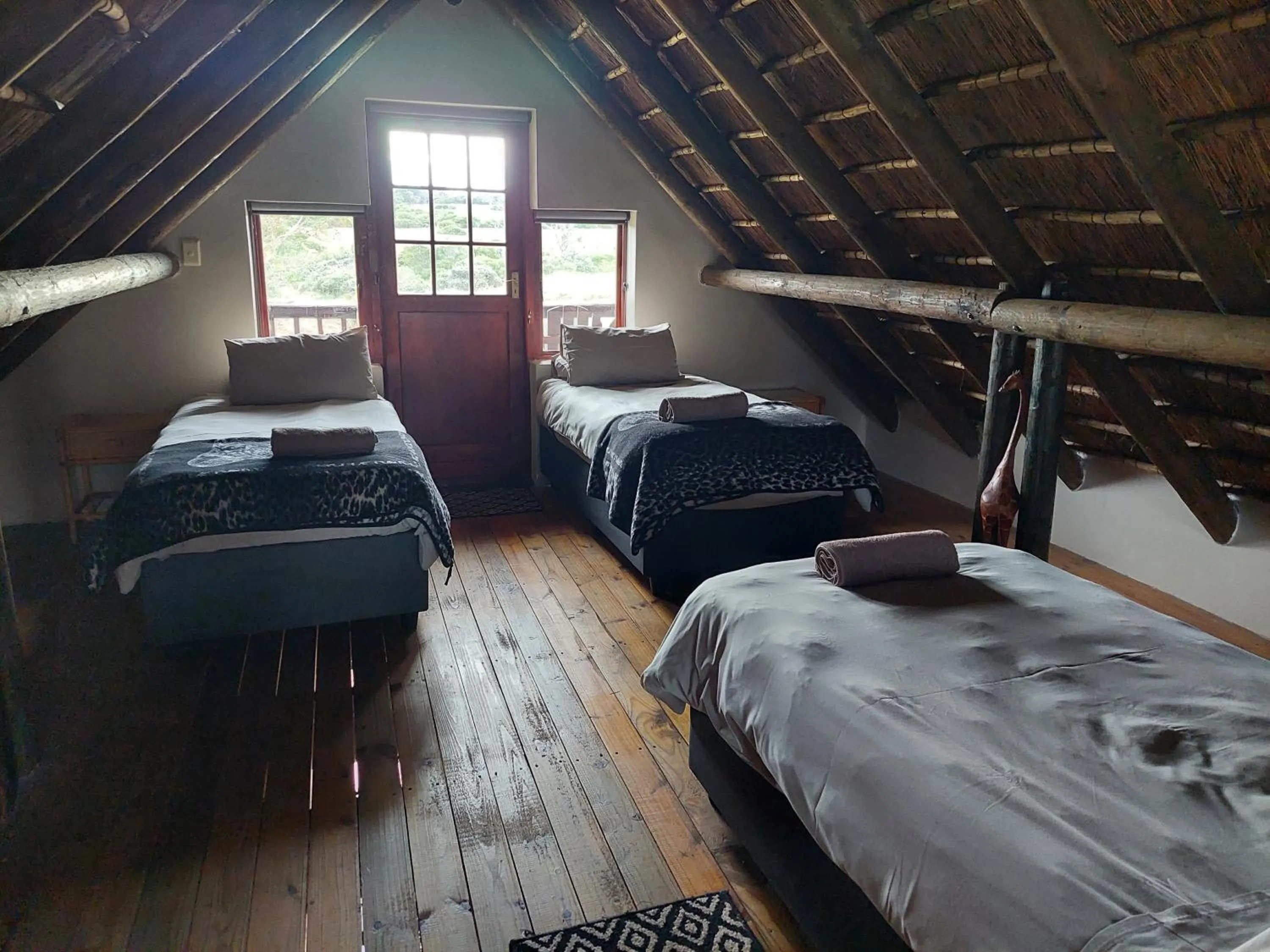 Property building, Bed in Kragga Kamma Game Park