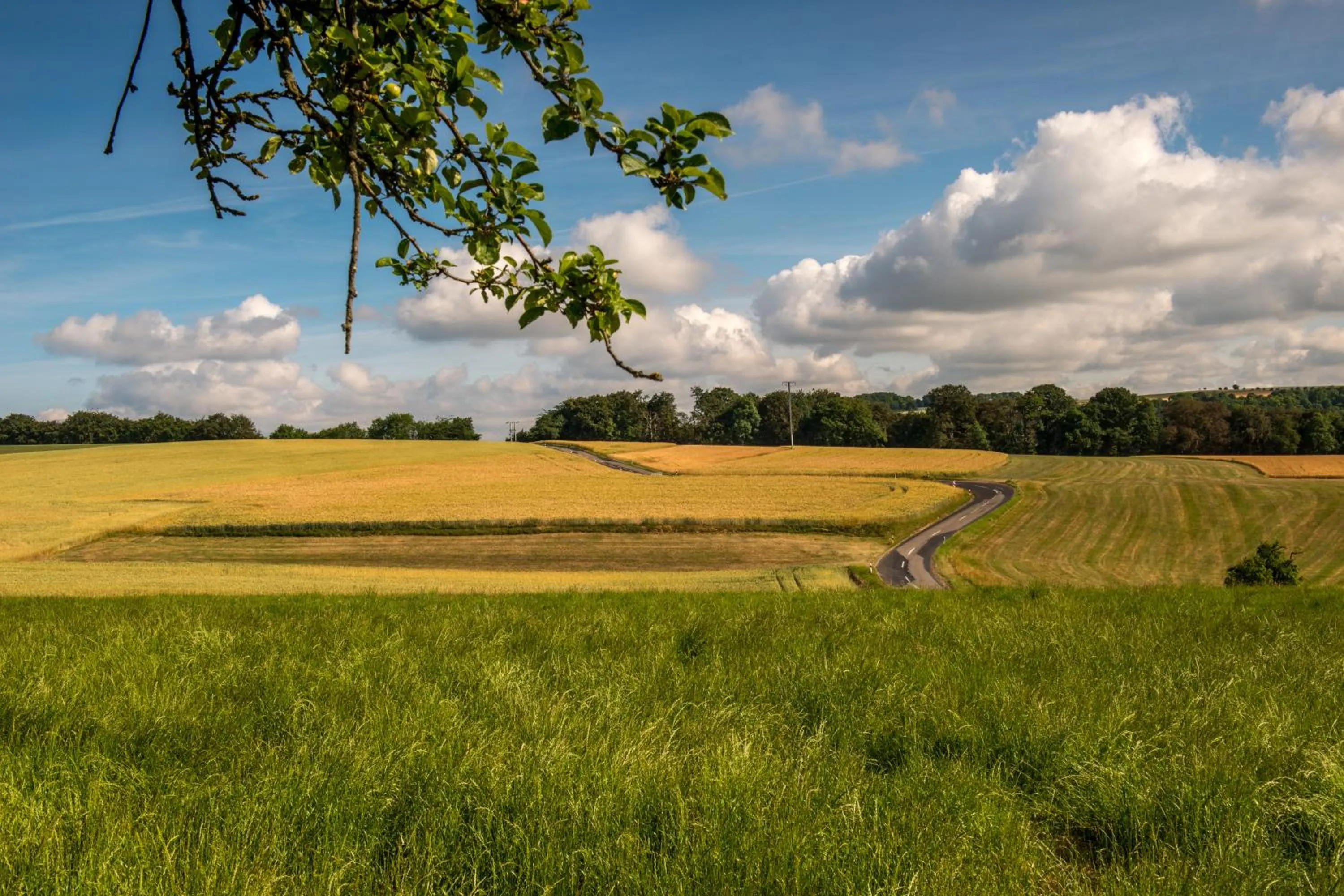 Other in Hotel Belle Vue
